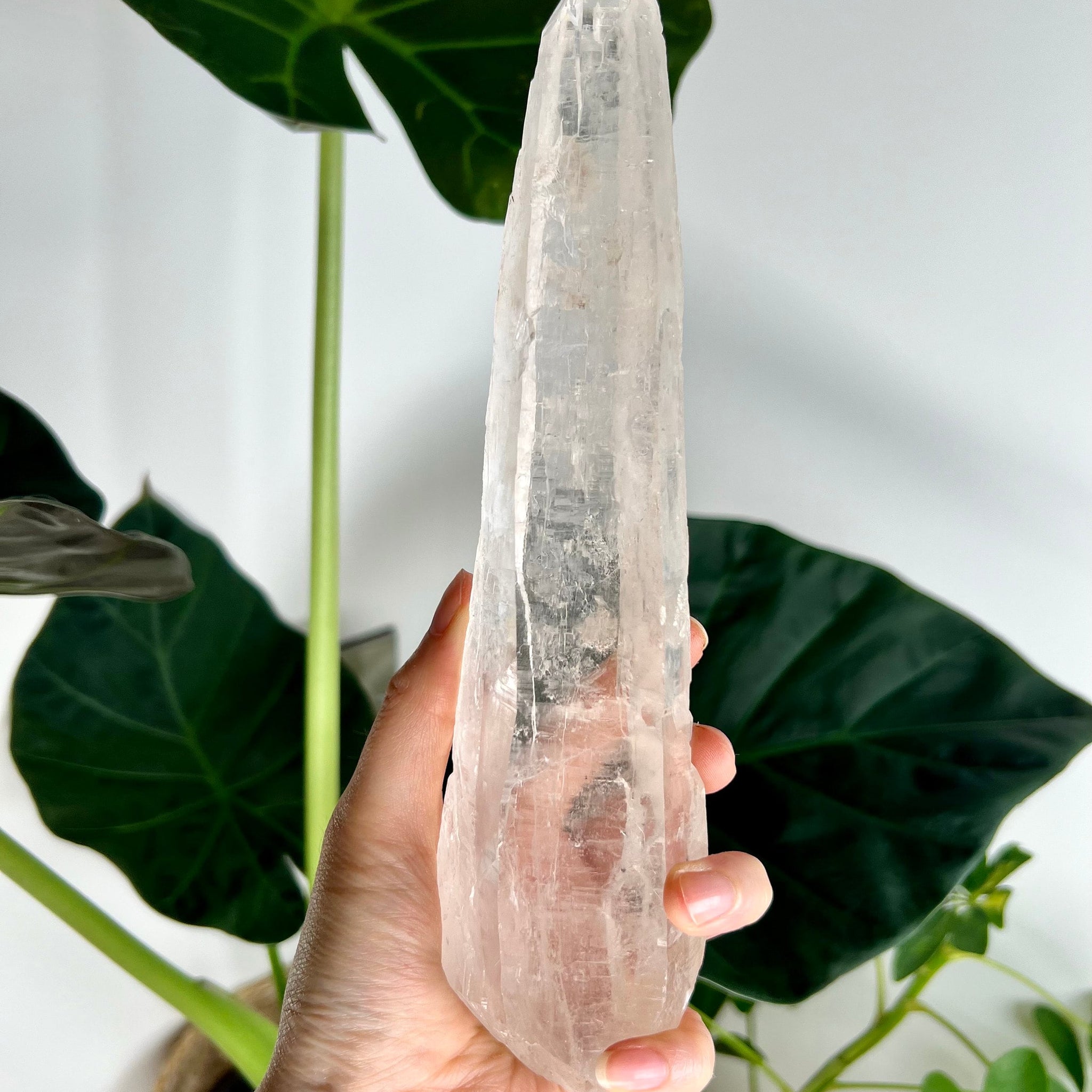 Grade AAA Singing Laser Quartz from Batatal, Diamantina - High Vibration Healing Crystal, SLH13, 567g