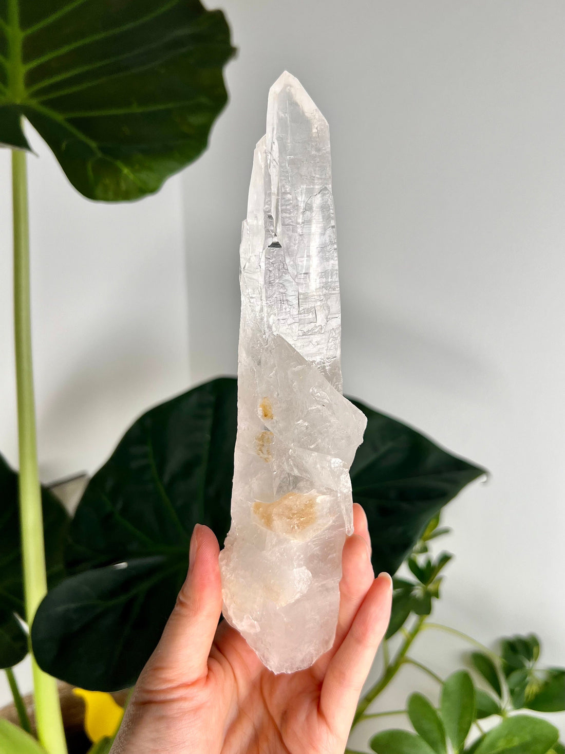 Grade AAA Singing Laser Quartz from Batatal, Diamantina - High Vibration Healing Crystal, SLH15, 399g