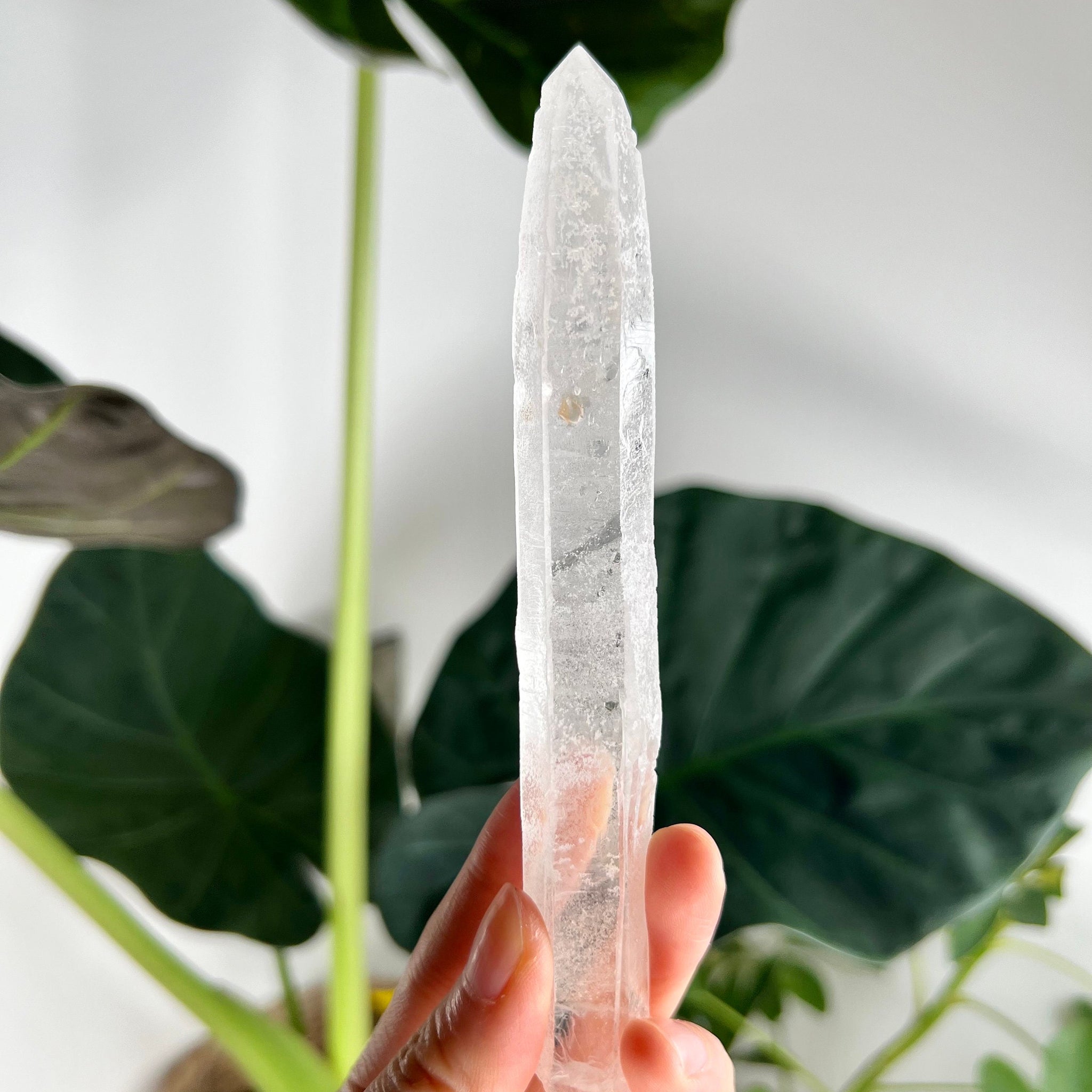 Grade AAA Singing Laser Quartz with “Daisy Mark” from Batatal, Diamantina - High Vibration Healing Crystal, SLH22, 68g