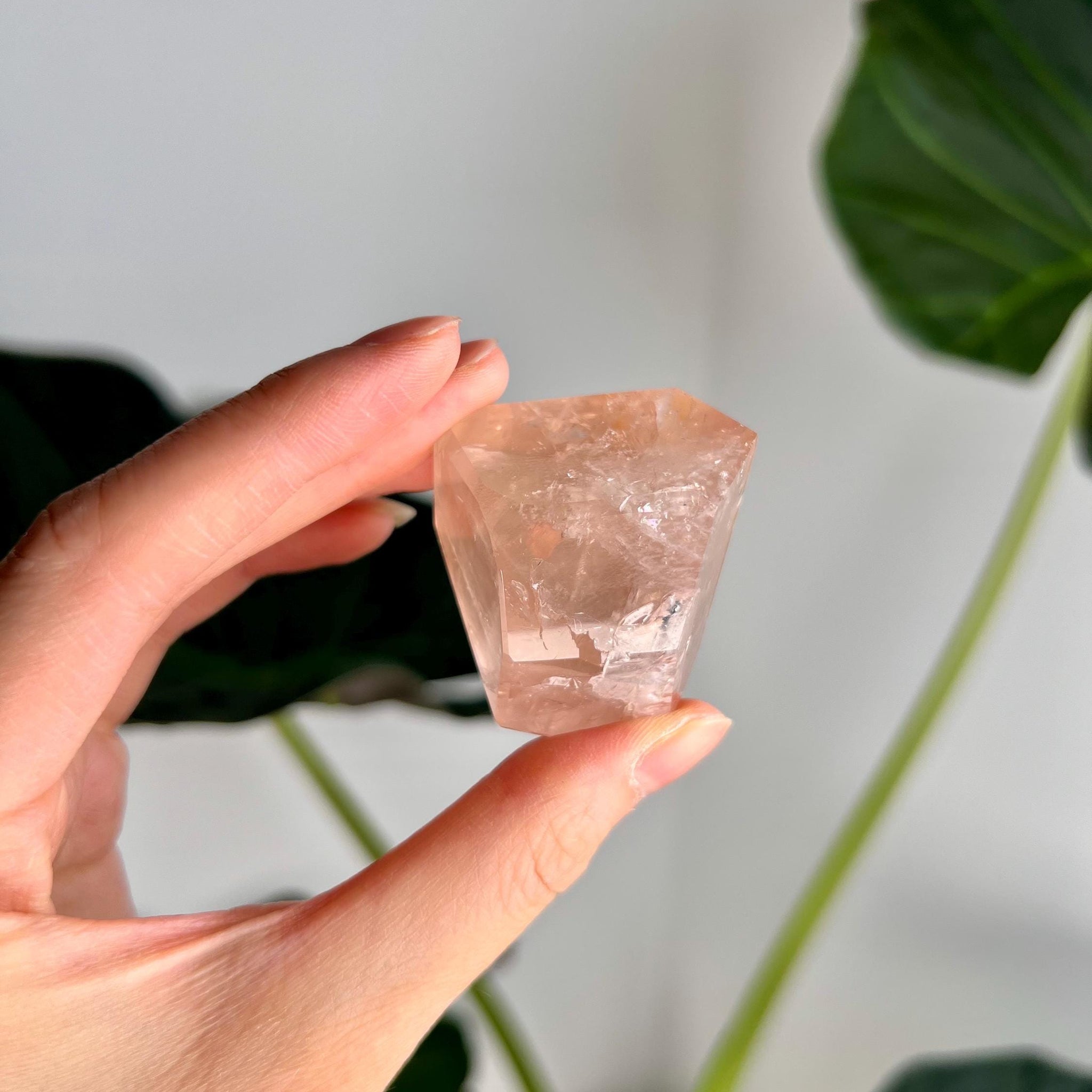 Grade AAA Golden Healer Rose Quartz Freeform with Star Light - A Celestial Beacon of Love and Healing, GRC41, 66g