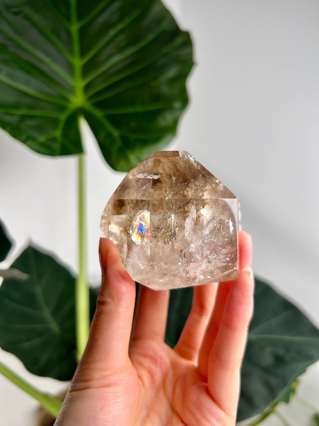 Grade AA Penetration Quartz, Manifestation Quartz with Rainbows and Iron Inclusion - from Diamantina, Minas Gerais, Brazil MFH30, 241g