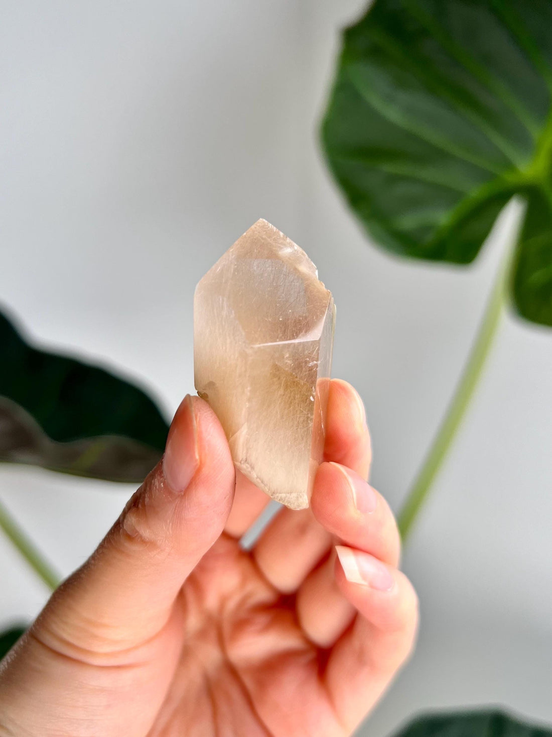 Grade AAA Natural Rutile Amphibole Quartz, Angel Phantom Quartz - from Taquaraçu de Minas, Brazil AFC32, 33g