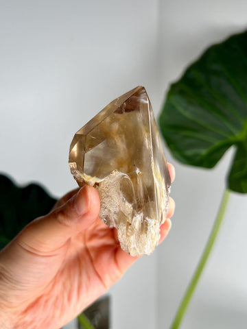 Grade AAA+ Natural Smoky Golden Amphibole Quartz, Angel Phantom Quartz - from Taquaraçu de Minas, Brazil AFC50, 126g