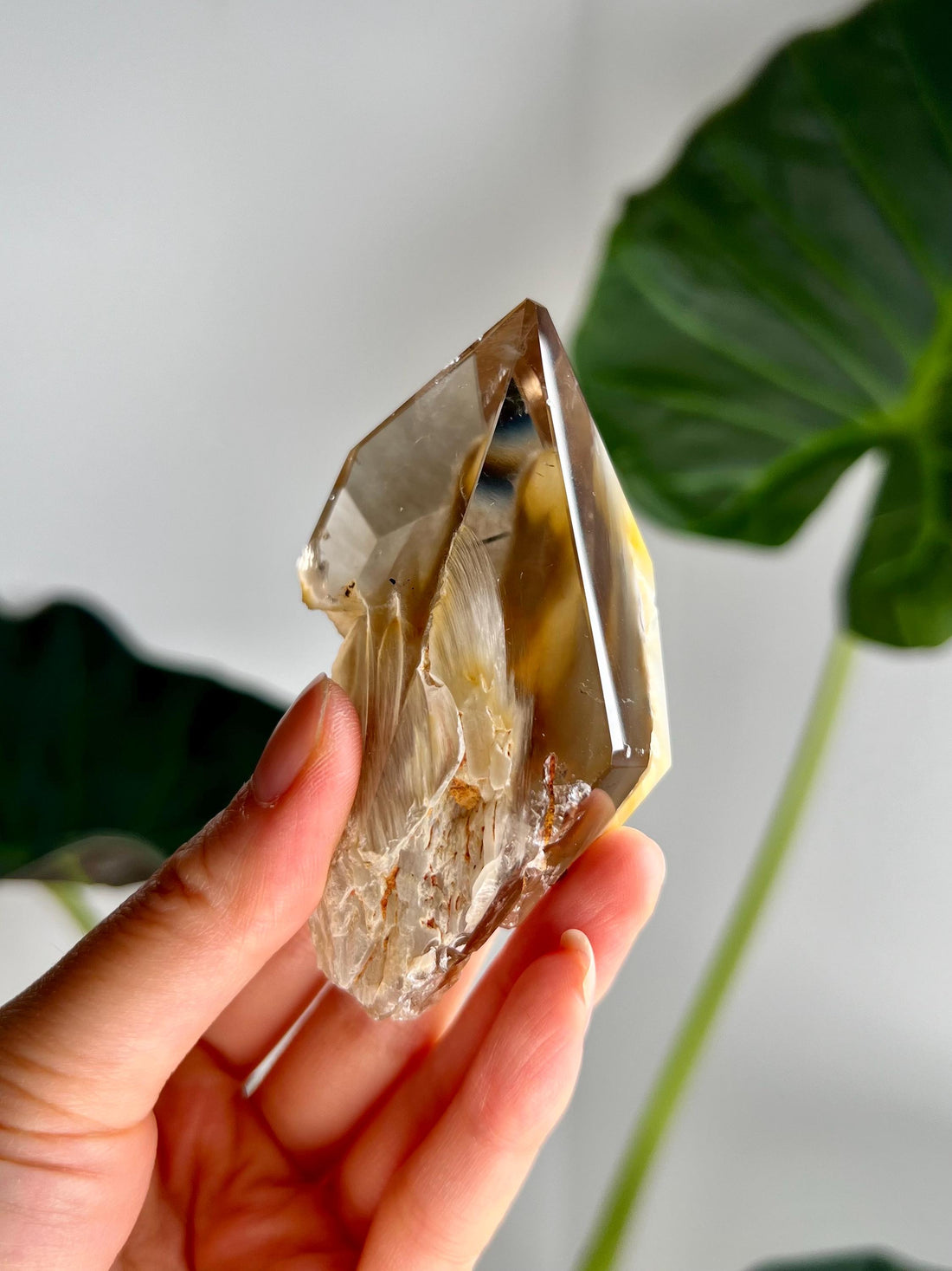 Grade AAA+ Natural Smoky Golden Amphibole Quartz, Angel Phantom Quartz - from Taquaraçu de Minas, Brazil AFC50, 126g