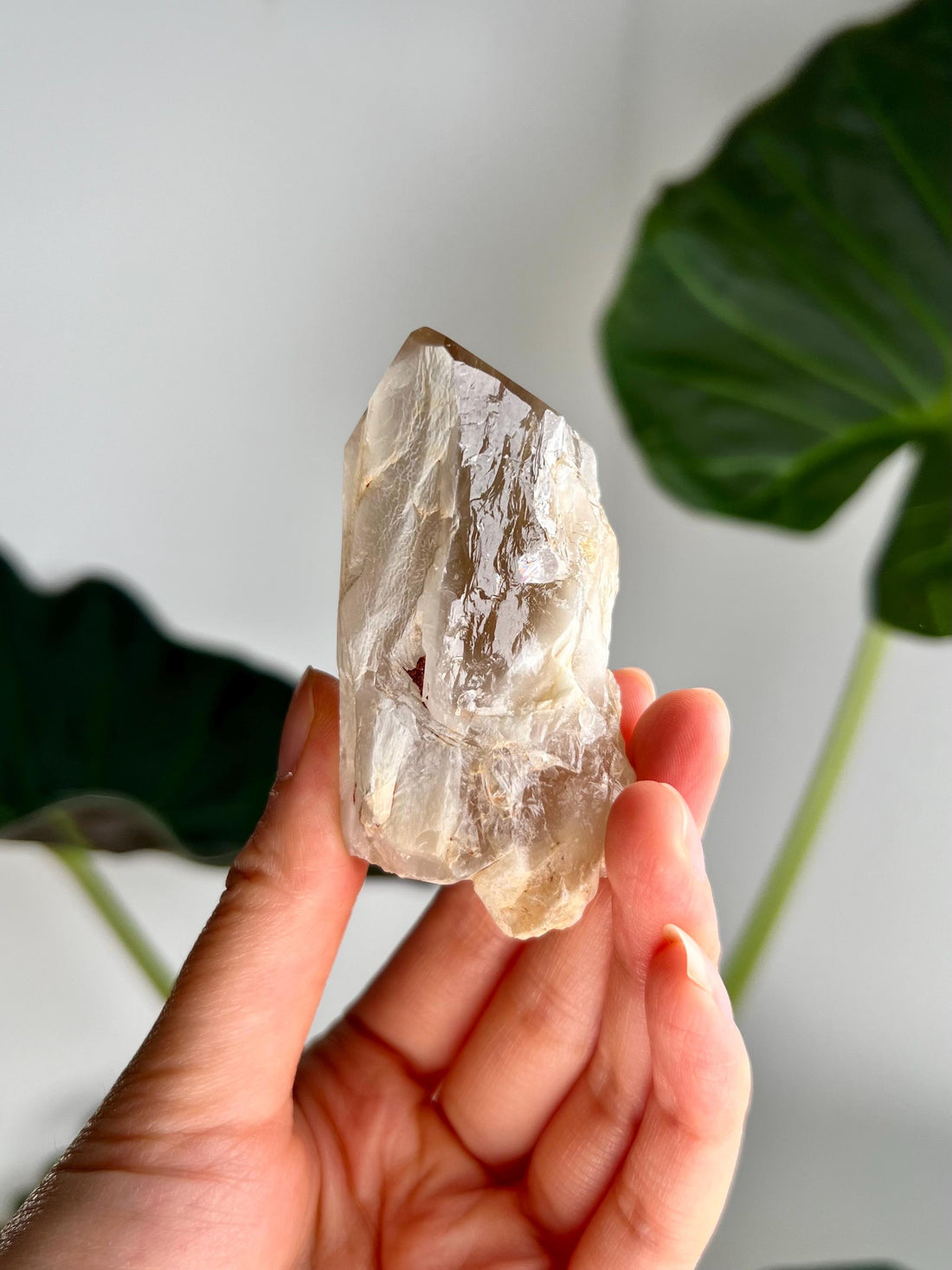 Grade AAA Natural Golden Amphibole Quartz, Angel Phantom Quartz - from Taquaraçu de Minas, Brazil AFC55, 96g