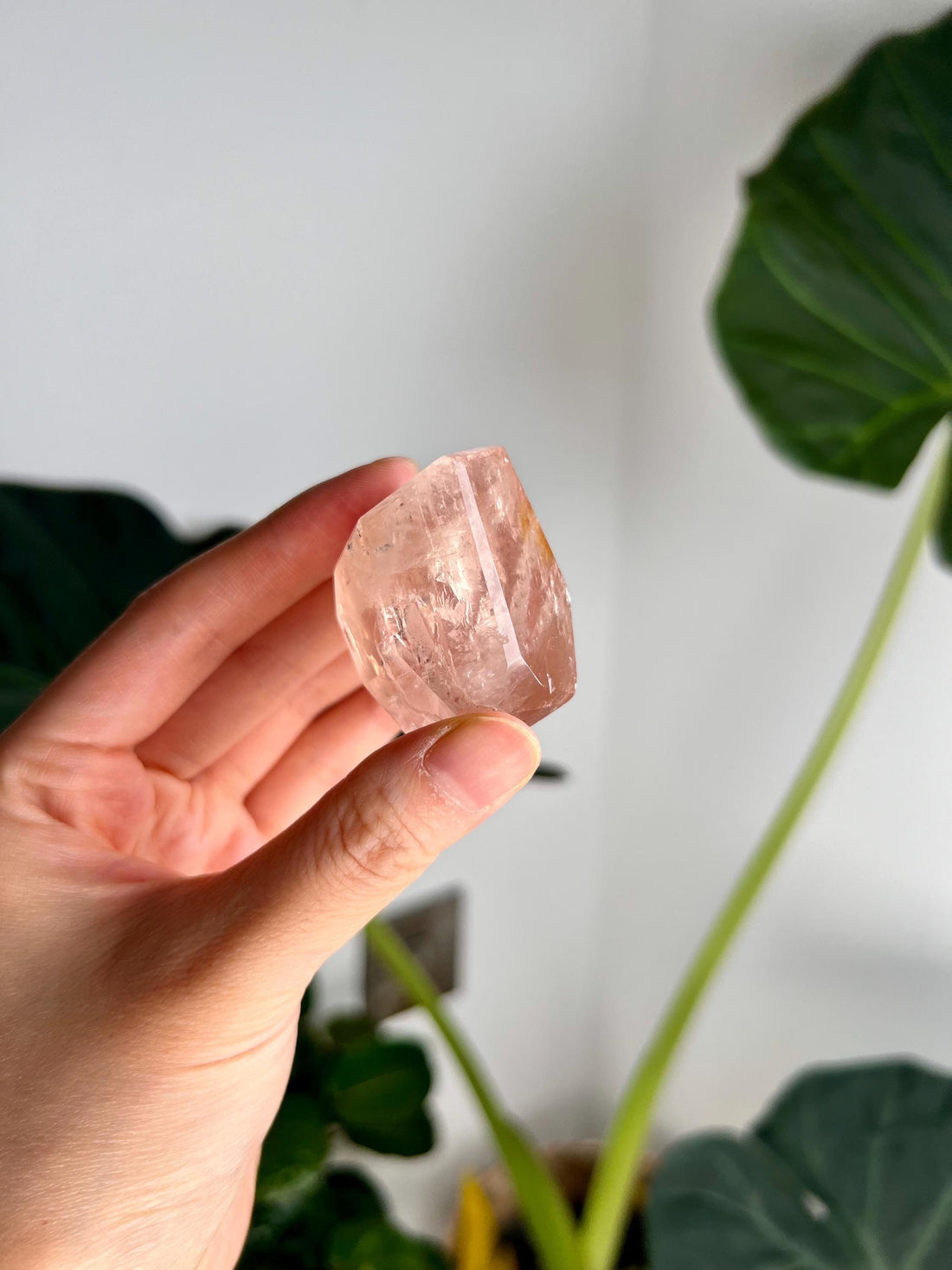 Grade AAA Golden Healer Rose Quartz Freeform with Star Light - A Celestial Beacon of Love and Healing, GRC41, 66g