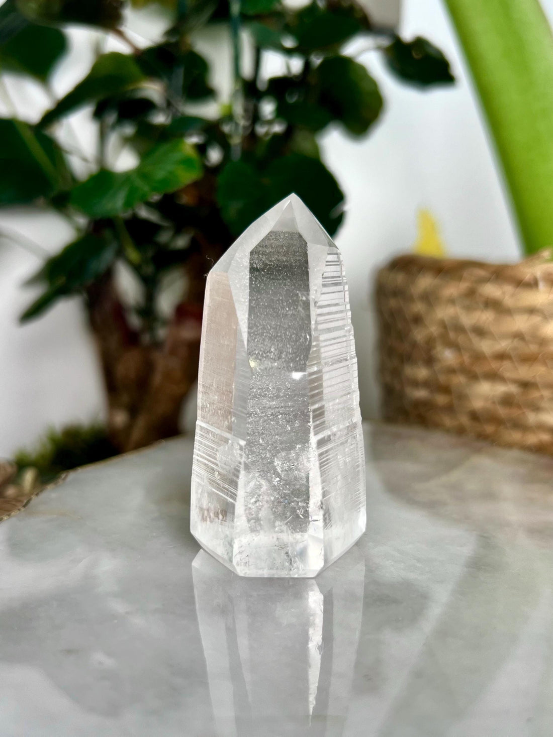 Grade AAA Lemurian Tower with Barcodes  - Semi-polished, Top Quality, from Sento Se Bahia LTC58, 71g
