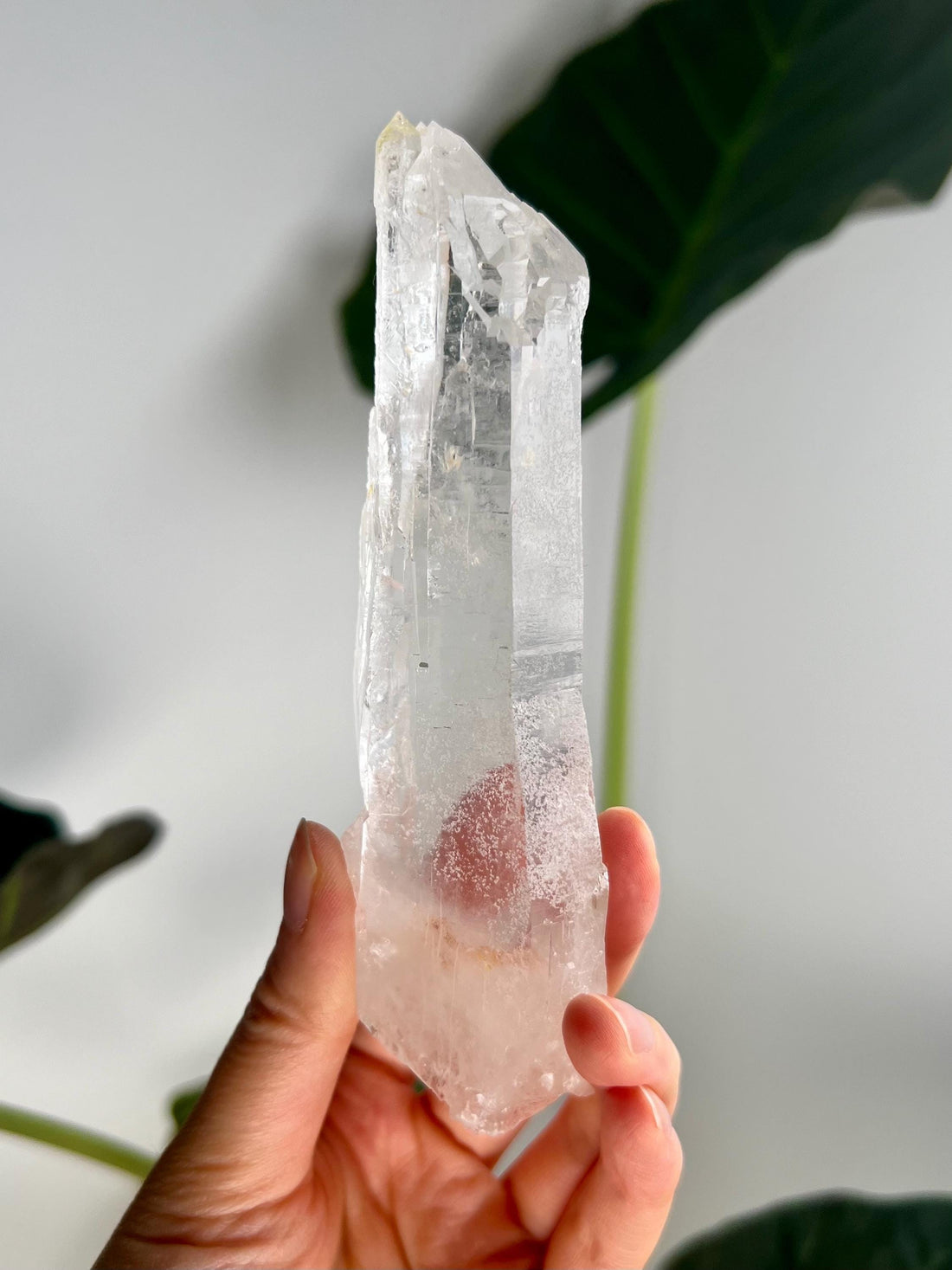 Grade AAA Singing Laser Cathedral Quartz with Iron from Batatal, Diamantina - High Vibration Healing Crystal,  SLH26, 192g
