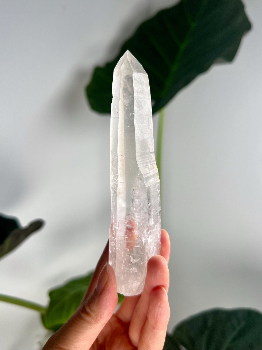 Grade AAA Singing Laser Quartz from Batatal, Diamantina - High Vibration Healing Crystal, Self-healed, SLH28, 121g