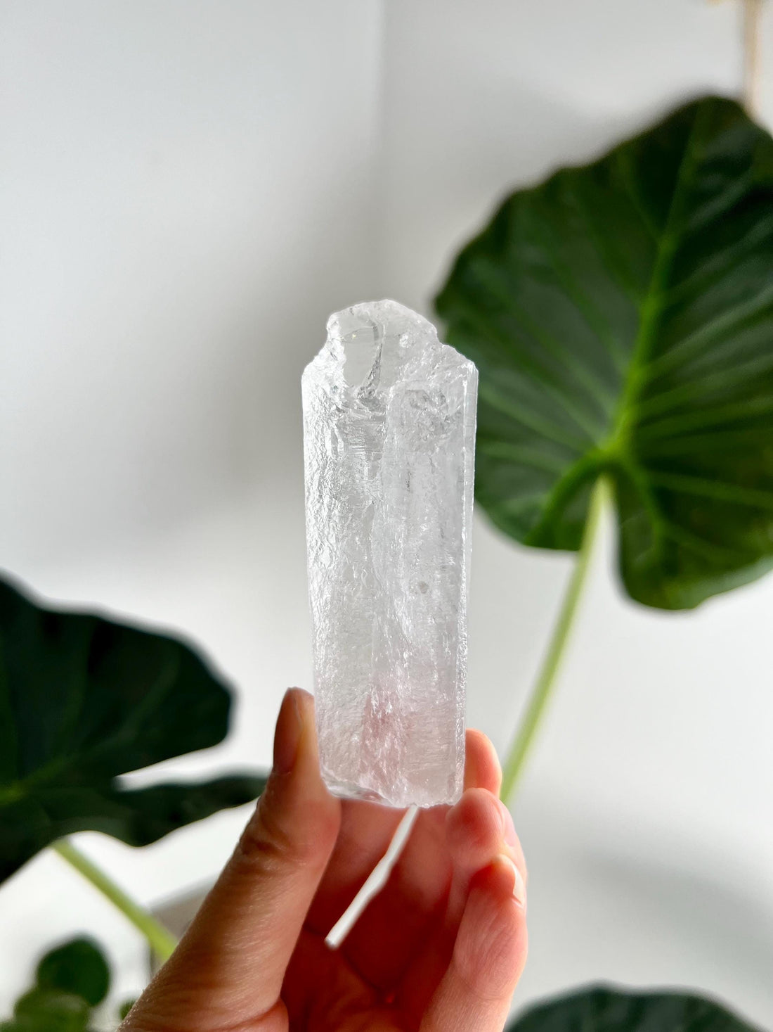 100% Natural High-Quality Root Lemurian Quartz - Self-Healed and Etched Crystal from Serra do Cabral, Brazil - LRC08, 82g