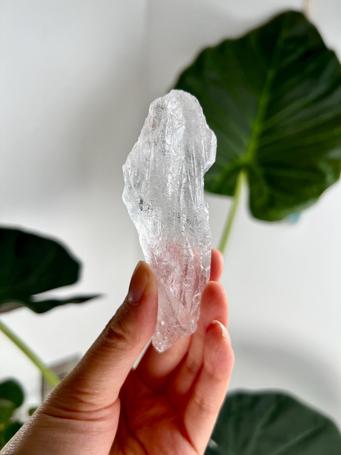 100% Natural High-Quality Root Lemurian Quartz - Self-Healed and Etched Crystal from Serra do Cabral, Brazil - LRC09, 66g