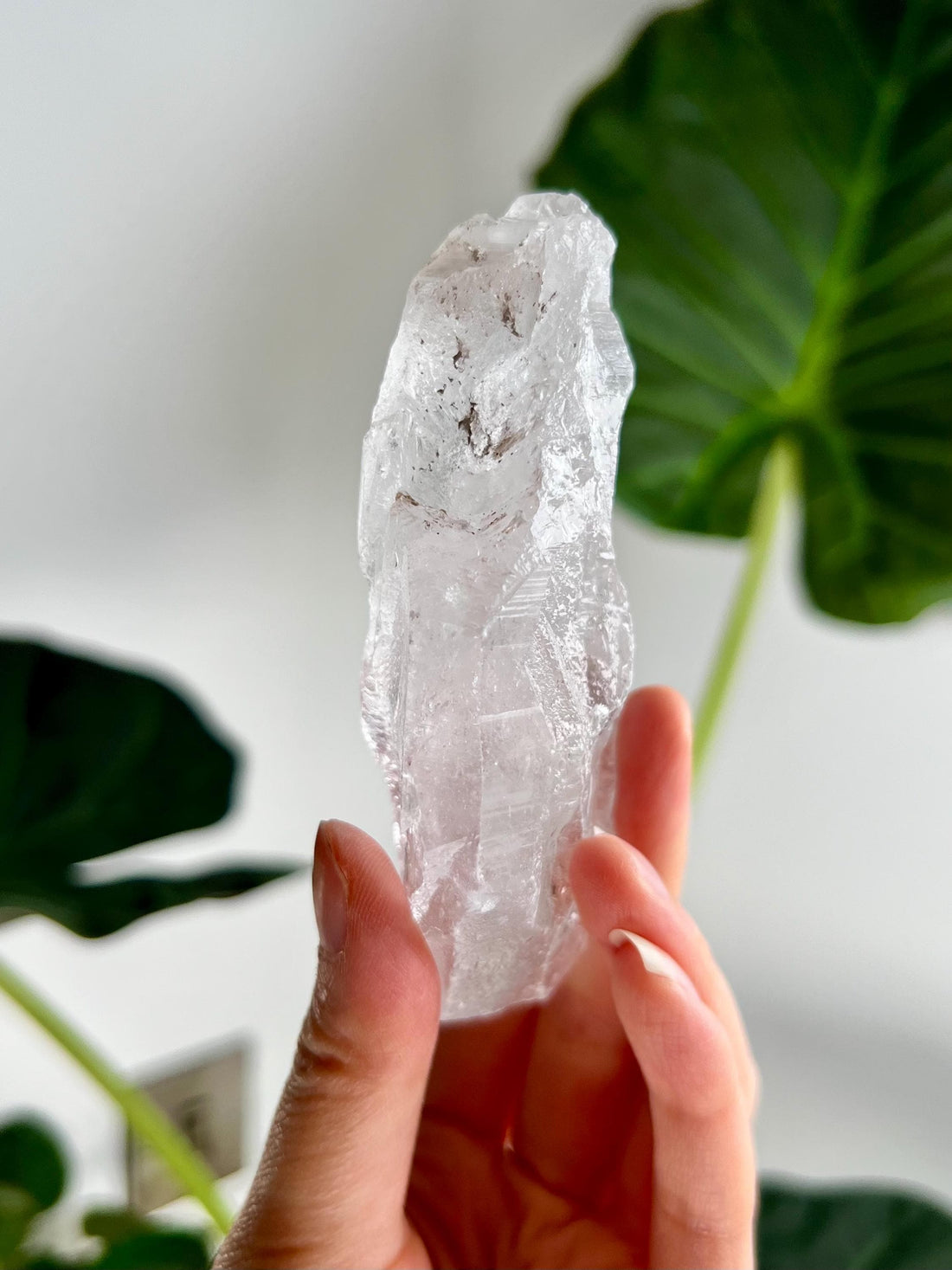 100% Natural High-Quality Root Lemurian Quartz - Self-Healed and Etched Crystal from Serra do Cabral, Brazil - LRC10, 140g