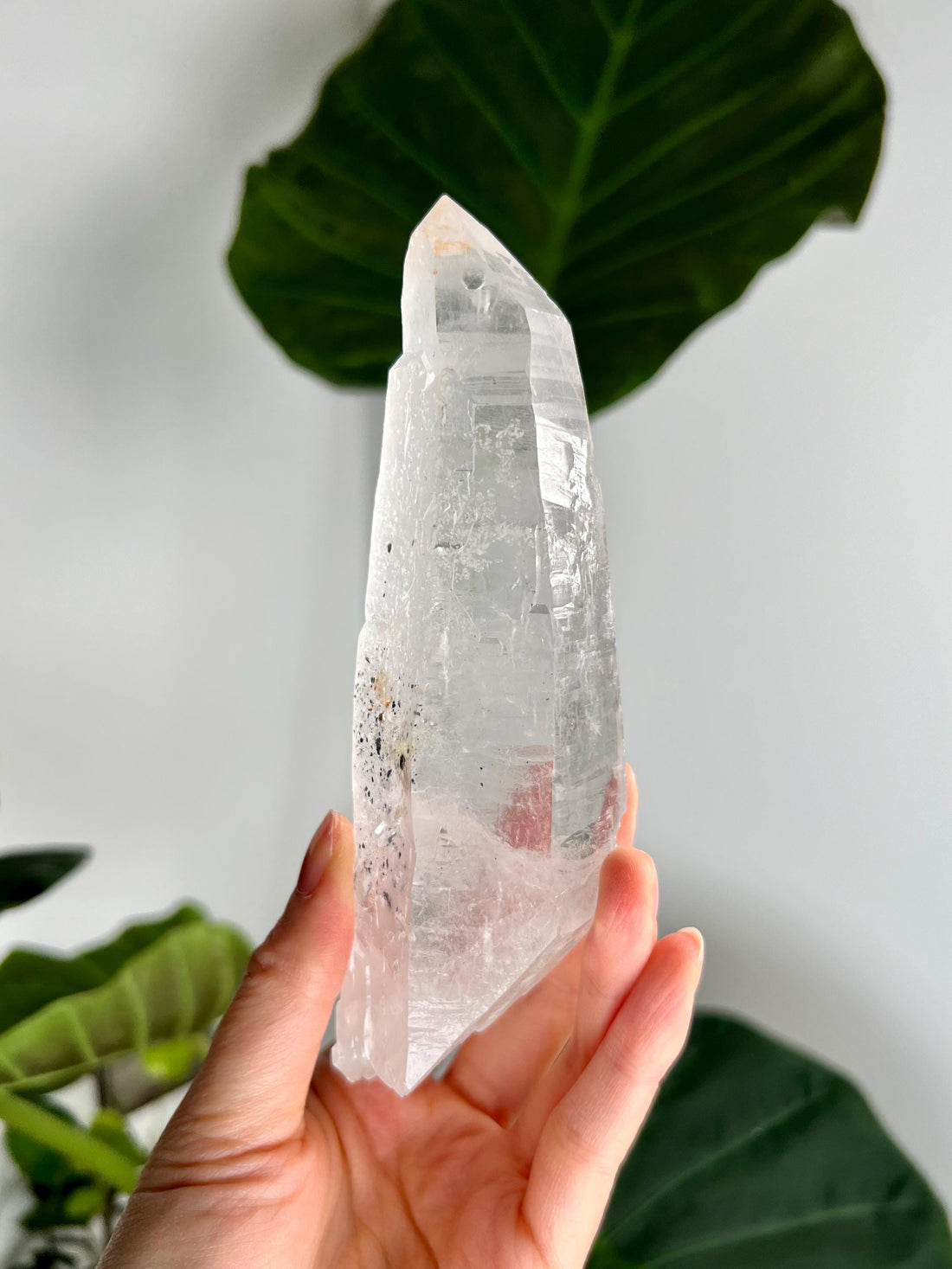 Grade AAA Singing Laser Quartz from Batatal, Diamantina -Self-Healed with Hematite Inclusion, High Vibration Healing Crystal,  SLH39, 339g