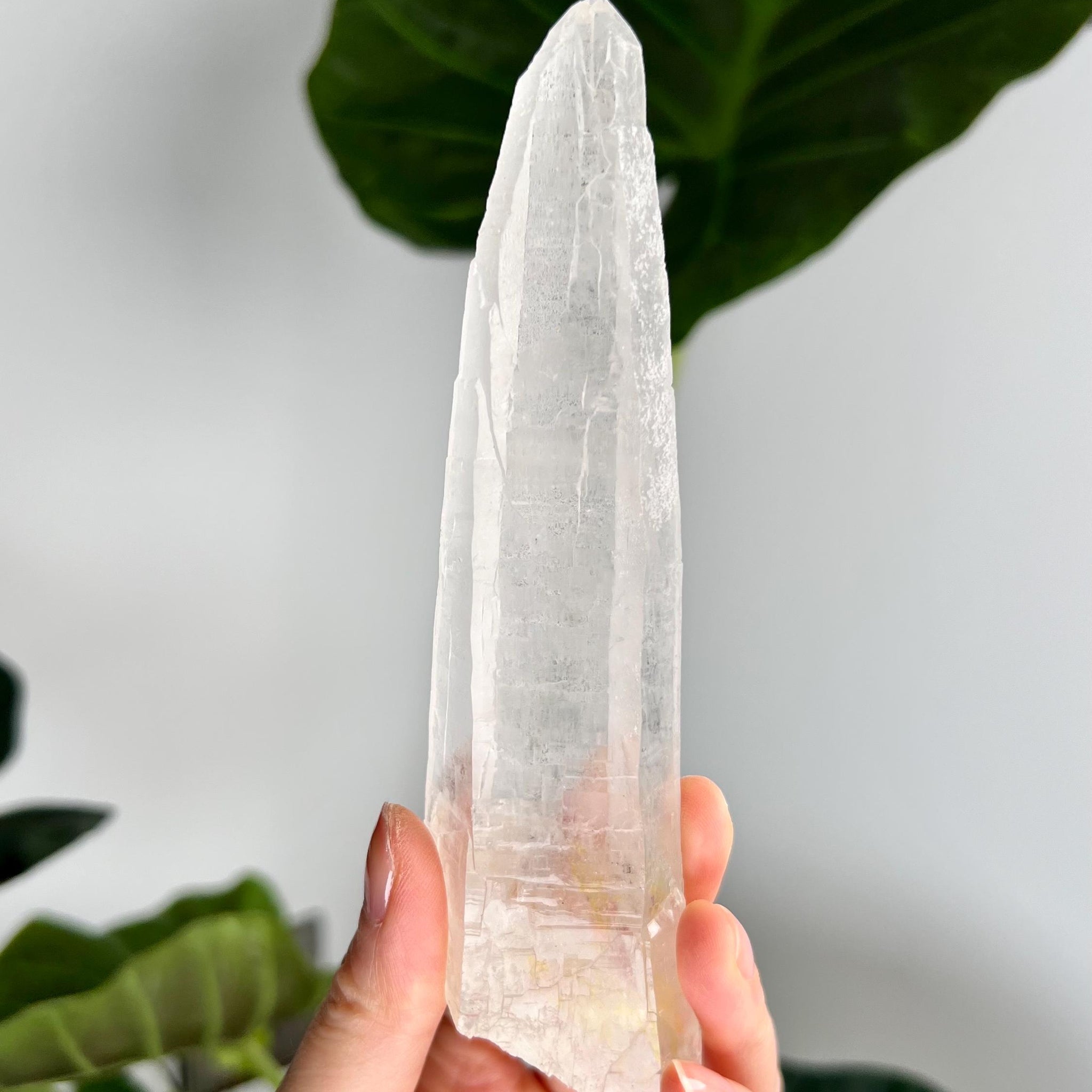 Grade AAA Singing Laser Quartz with Iron and Hematite from Batatal, Diamantina - High Vibration Healing Crystal,  SLH40, 173g
