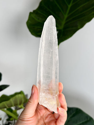 Grade AAA Singing Laser Quartz with Iron and Hematite from Batatal, Diamantina - High Vibration Healing Crystal,  SLH40, 173g