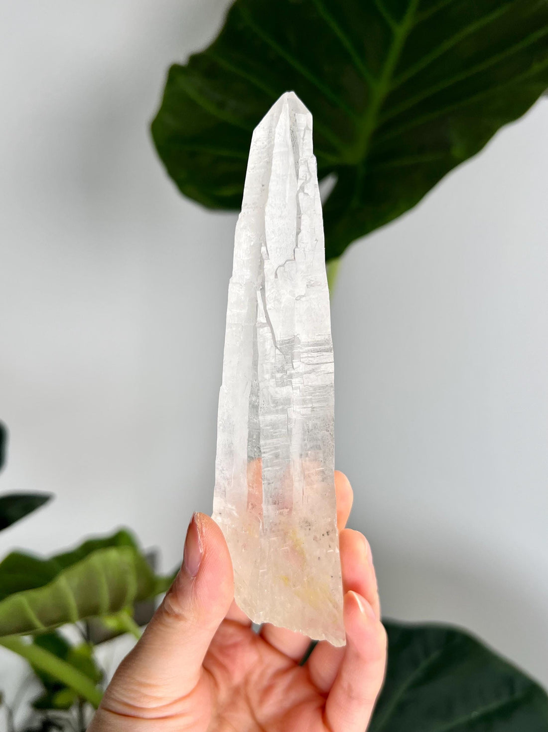 Grade AAA Singing Laser Quartz with Iron and Hematite from Batatal, Diamantina - High Vibration Healing Crystal,  SLH40, 173g