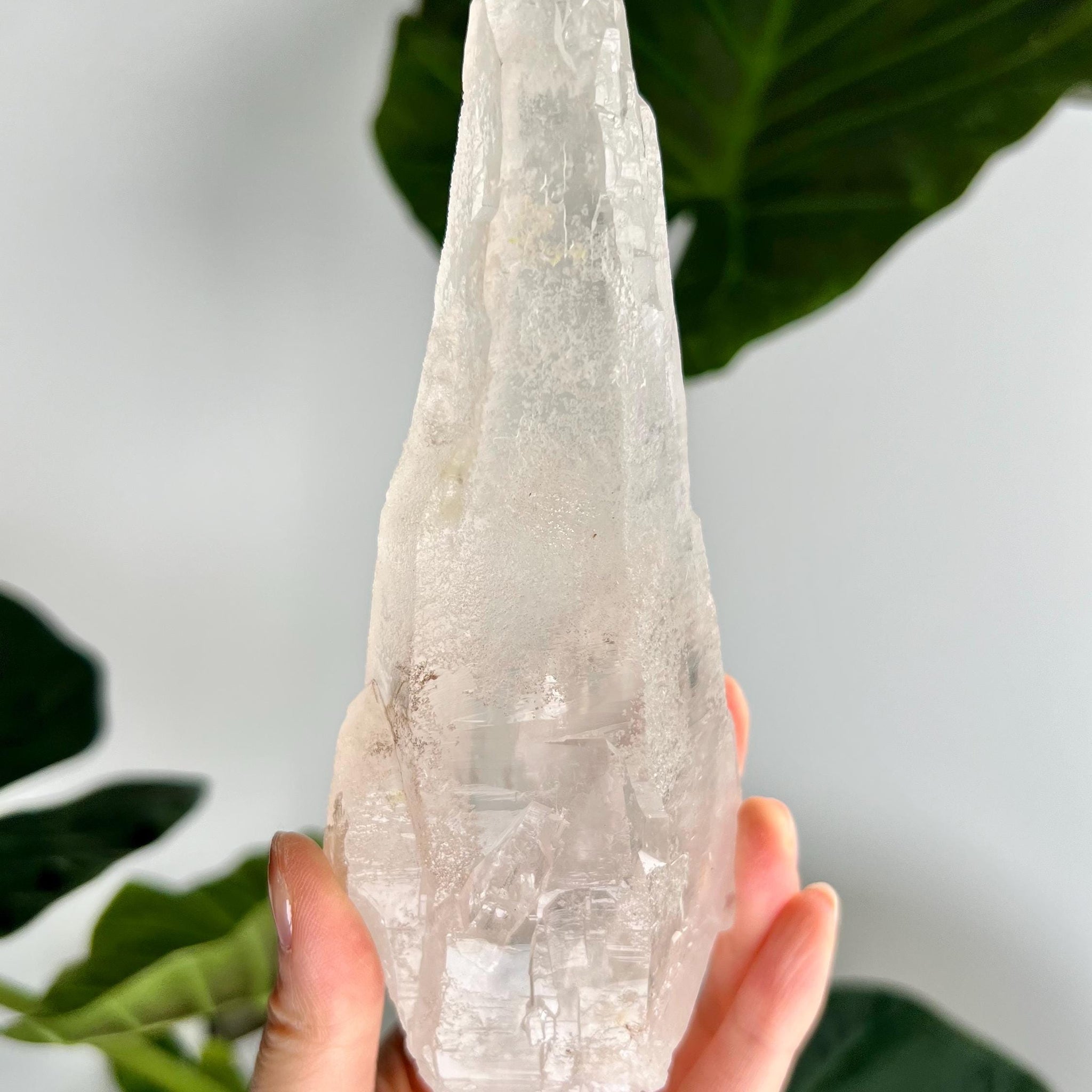 RARE Grade AAA Singing Laser Manifestation Quartz with Rainbow DT Penetration - Natural Specimen from Batatal, Diamantina, SLH42, 470g