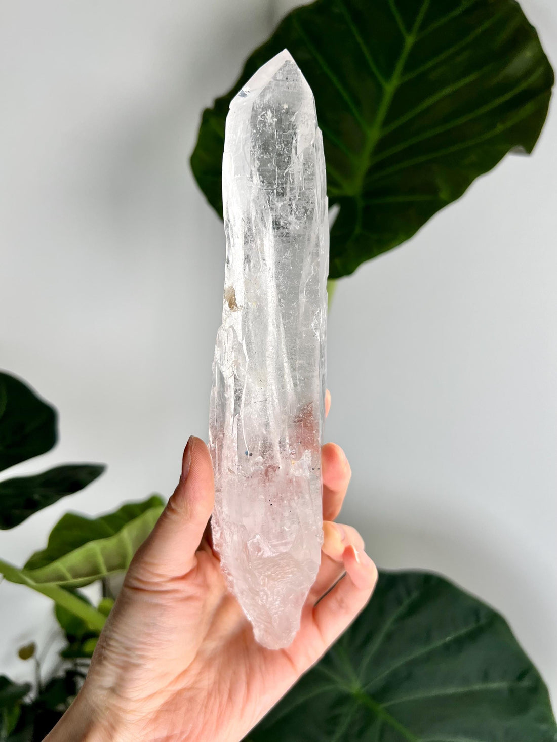 Grade AAA Singing Laser Quartz, Self-Healed with Hematite from Batatal, Diamantina - High Vibration Healing Crystal, SLH43, 346g