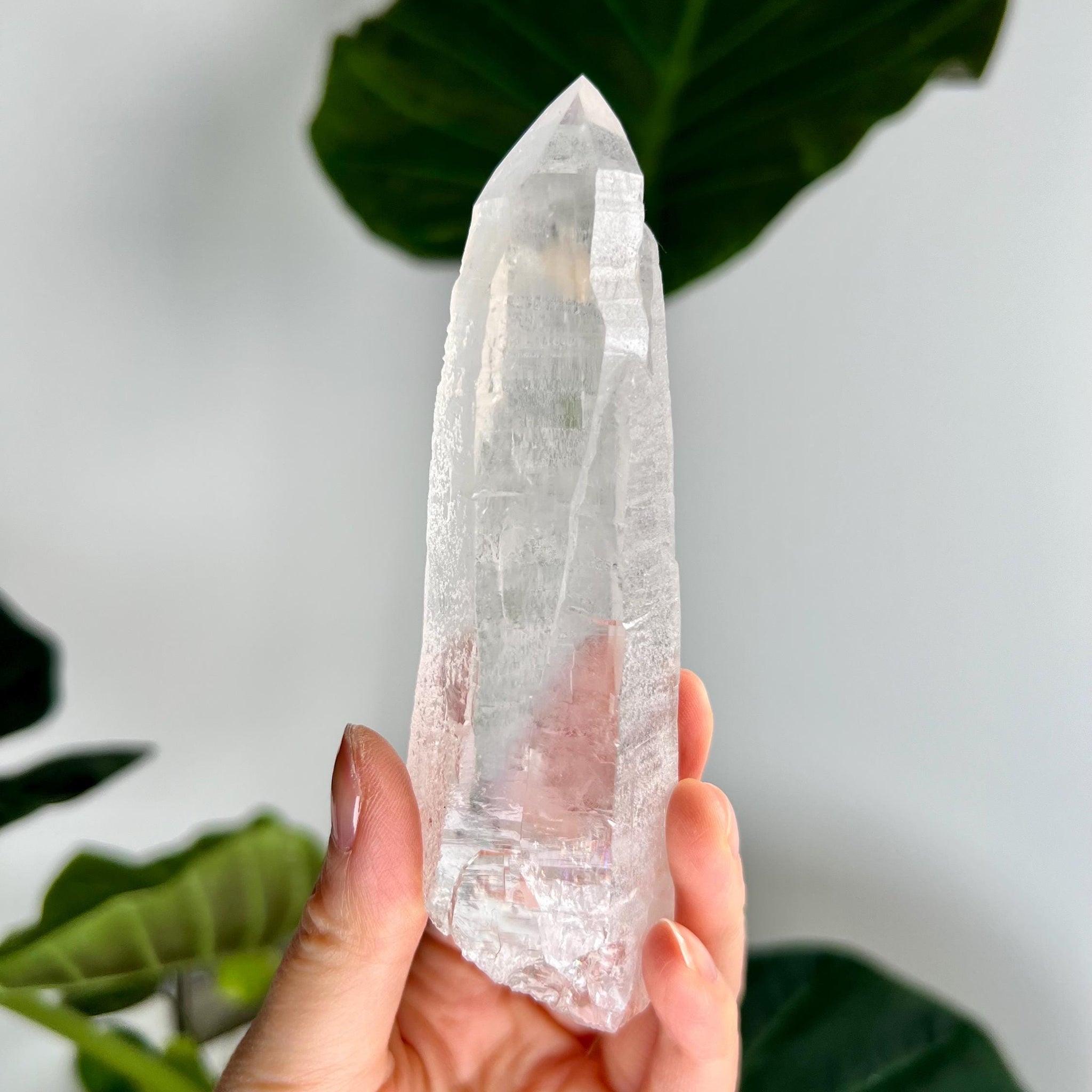 Grade AAA Natural Laser Quartz with Rainbow and Unique "Daisy Birthmark" - from Batatal, Diamantina- SLH44, 164g