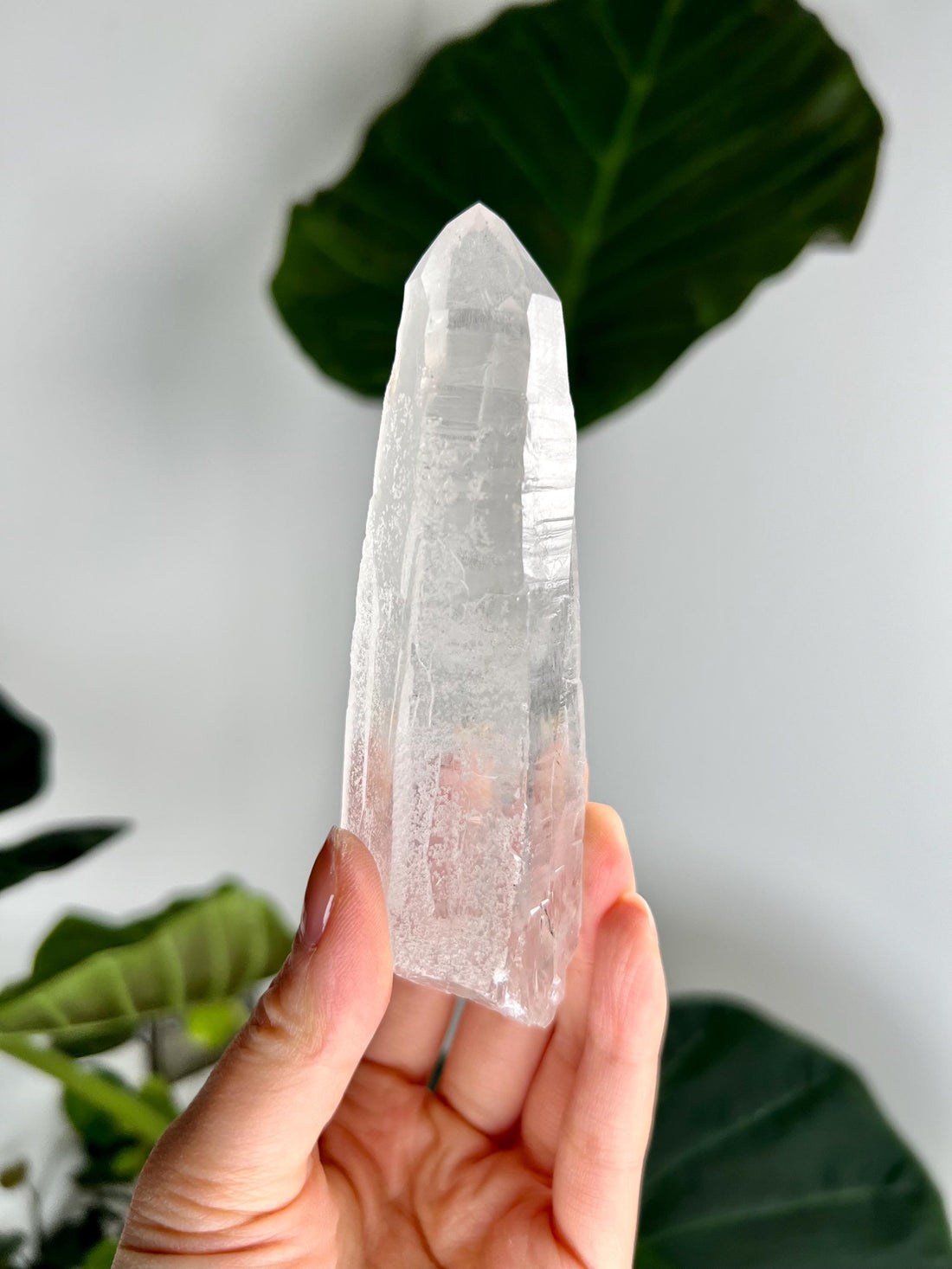 Grade AAA Natural Laser Quartz with Rainbow and Unique "Daisy Birthmark" - from Batatal, Diamantina- SLH44, 164g