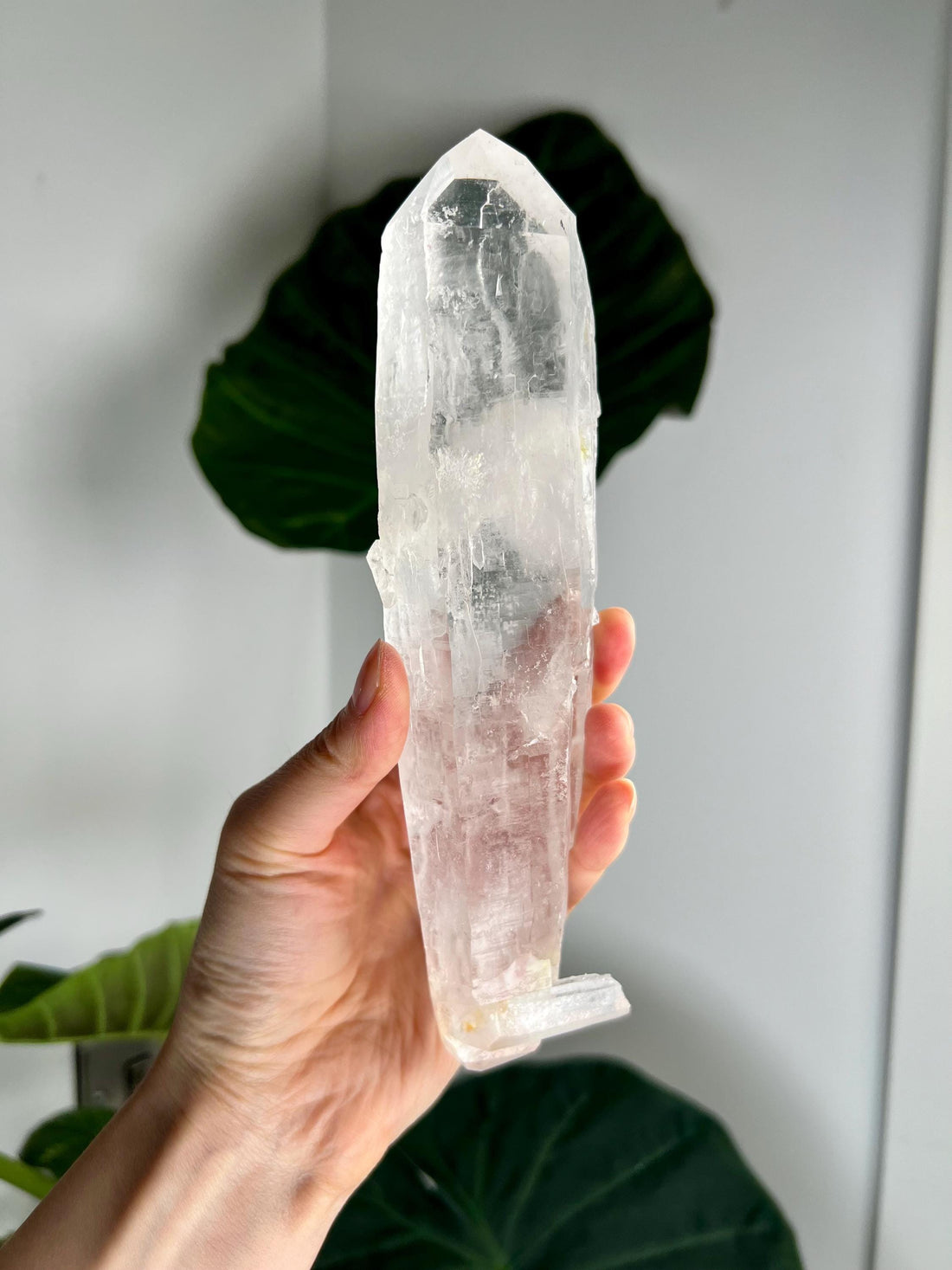 Rare Grade AAA Natural Double-Terminated Faden Laser Quartz with Penetration & Manifestation - 491g, SLH51