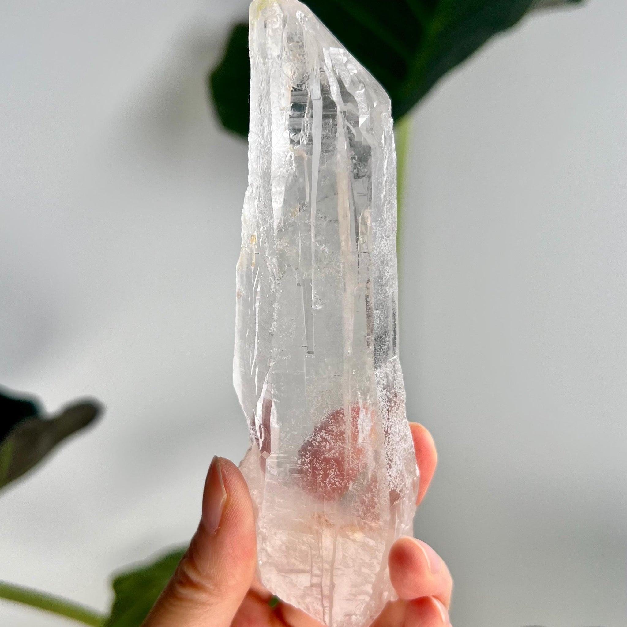 Grade AAA Singing Laser Cathedral Quartz with Iron from Batatal, Diamantina - High Vibration Healing Crystal,  SLH26, 192g