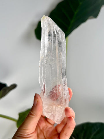 Grade AAA Singing Laser Cathedral Quartz with Iron from Batatal, Diamantina - High Vibration Healing Crystal,  SLH26, 192g