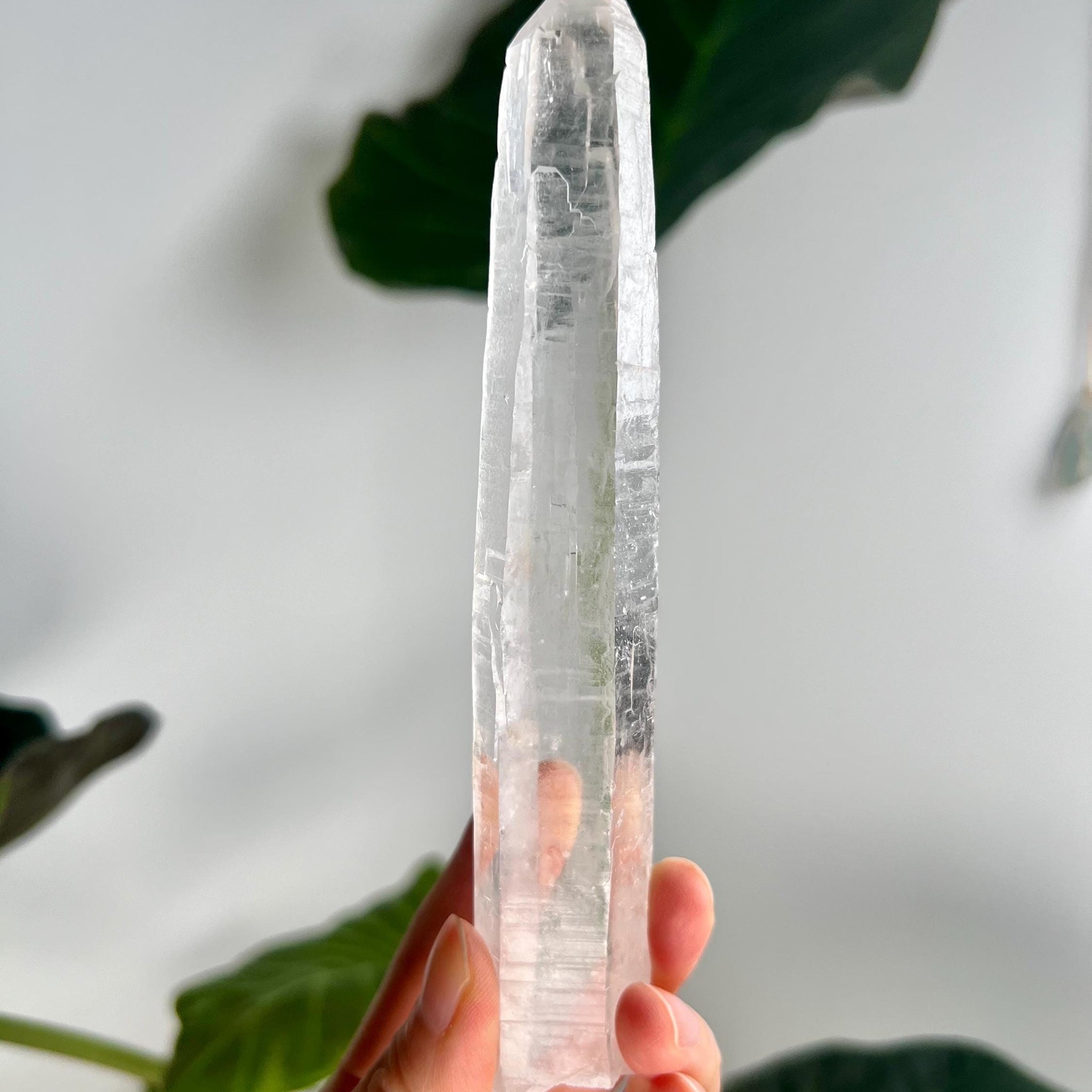 Grade AAA Singing Laser Quartz from Batatal, Diamantina - High Vibration Healing Crystal, with "Daisy" Birthmark SLH27, 145g
