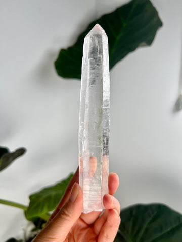 Grade AAA Singing Laser Quartz from Batatal, Diamantina - High Vibration Healing Crystal, with "Daisy" Birthmark SLH27, 145g