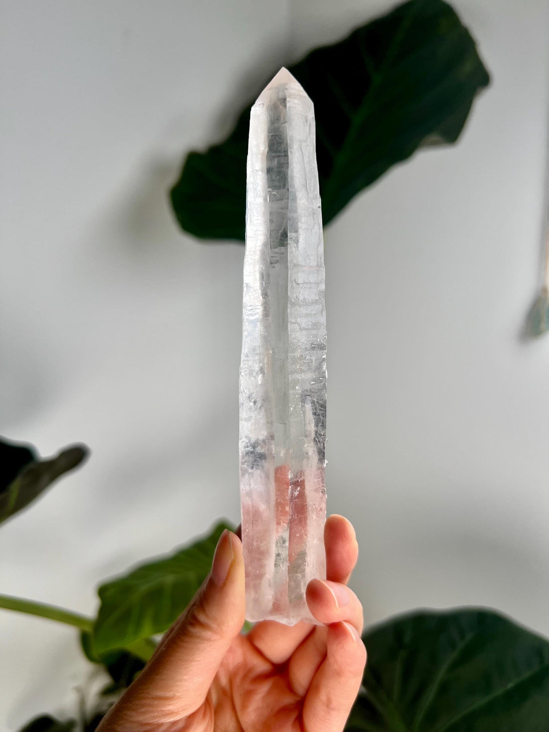 Grade AAA Singing Laser Quartz from Batatal, Diamantina - High Vibration Healing Crystal, with "Daisy" Birthmark SLH27, 145g