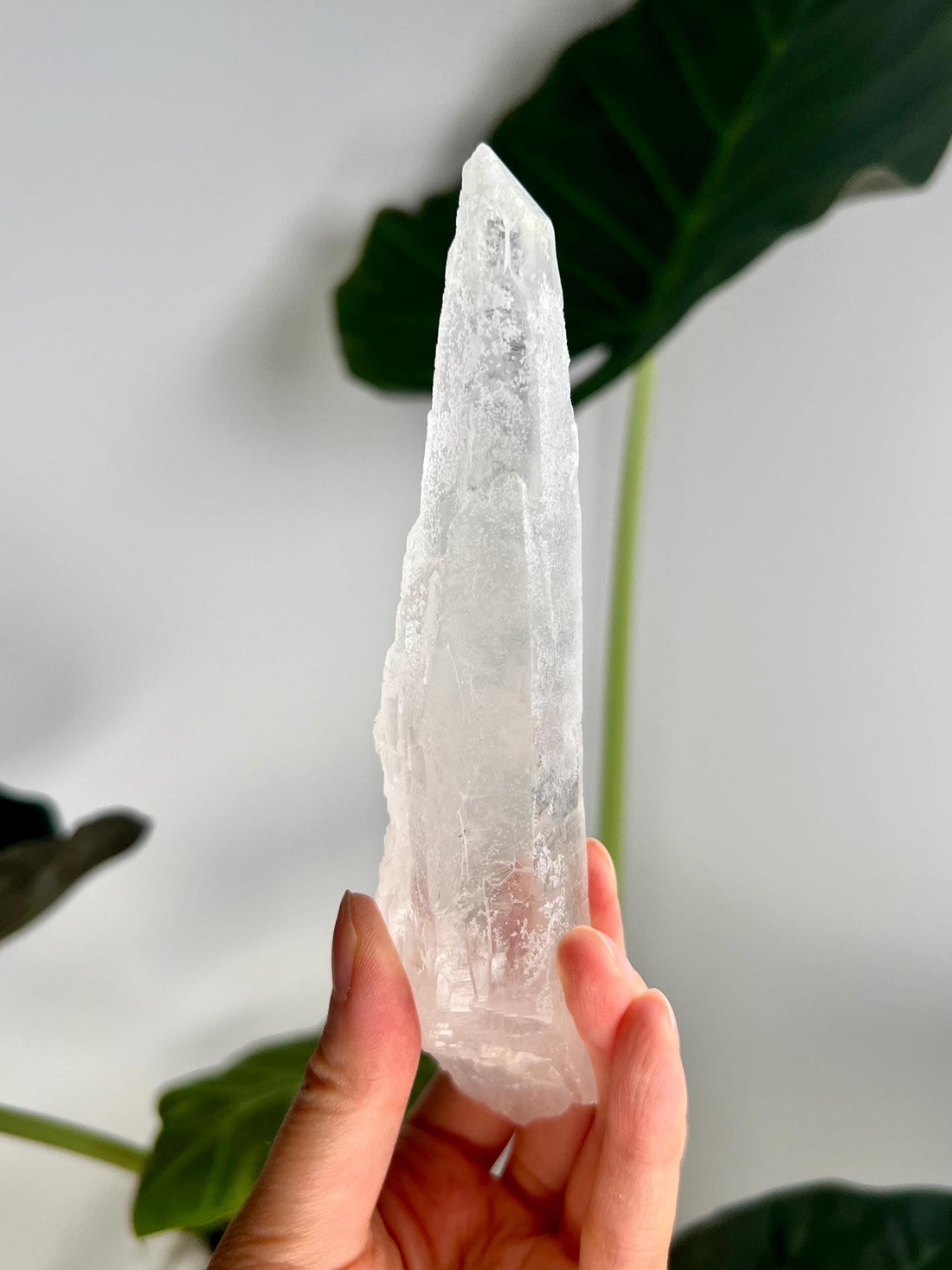 Grade AAA Singing Laser Cathedral Quartz with Inner Child Point from Batatal, Diamantina - High Vibration Healing Crystal,  SLH29, 166g