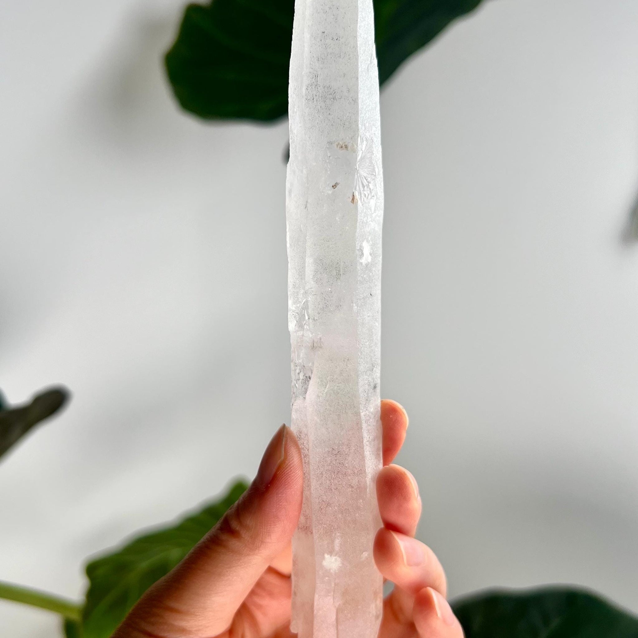 Grade AAA Singing Laser Faden Quartz from Batatal, Diamantina - High Vibration Healing Crystal, with "Daisy" Birthmark SLH30, 115g