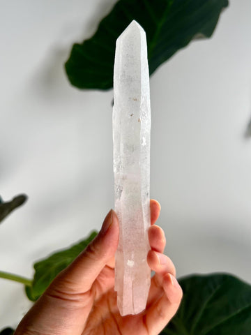 Grade AAA Singing Laser Faden Quartz from Batatal, Diamantina - High Vibration Healing Crystal, with "Daisy" Birthmark SLH30, 115g