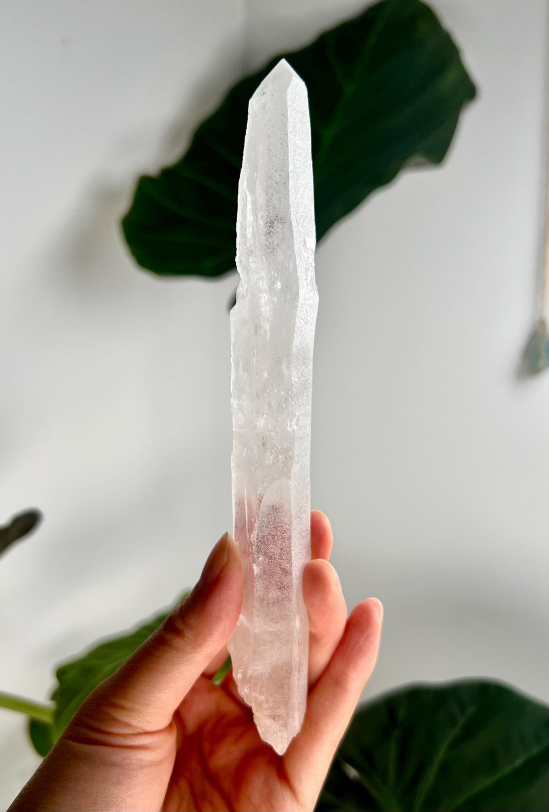 Grade AAA Singing Laser Faden Quartz from Batatal, Diamantina - High Vibration Healing Crystal, with "Daisy" Birthmark SLH30, 115g