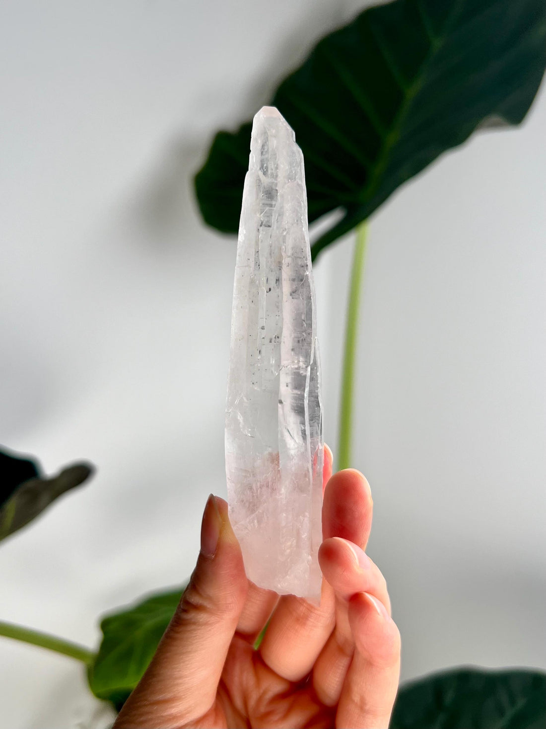 Grade AAA Singing Laser Cathedral Quartz with Hematite from Batatal, Diamantina - High Vibration Healing Crystal,  SLH33, 88g