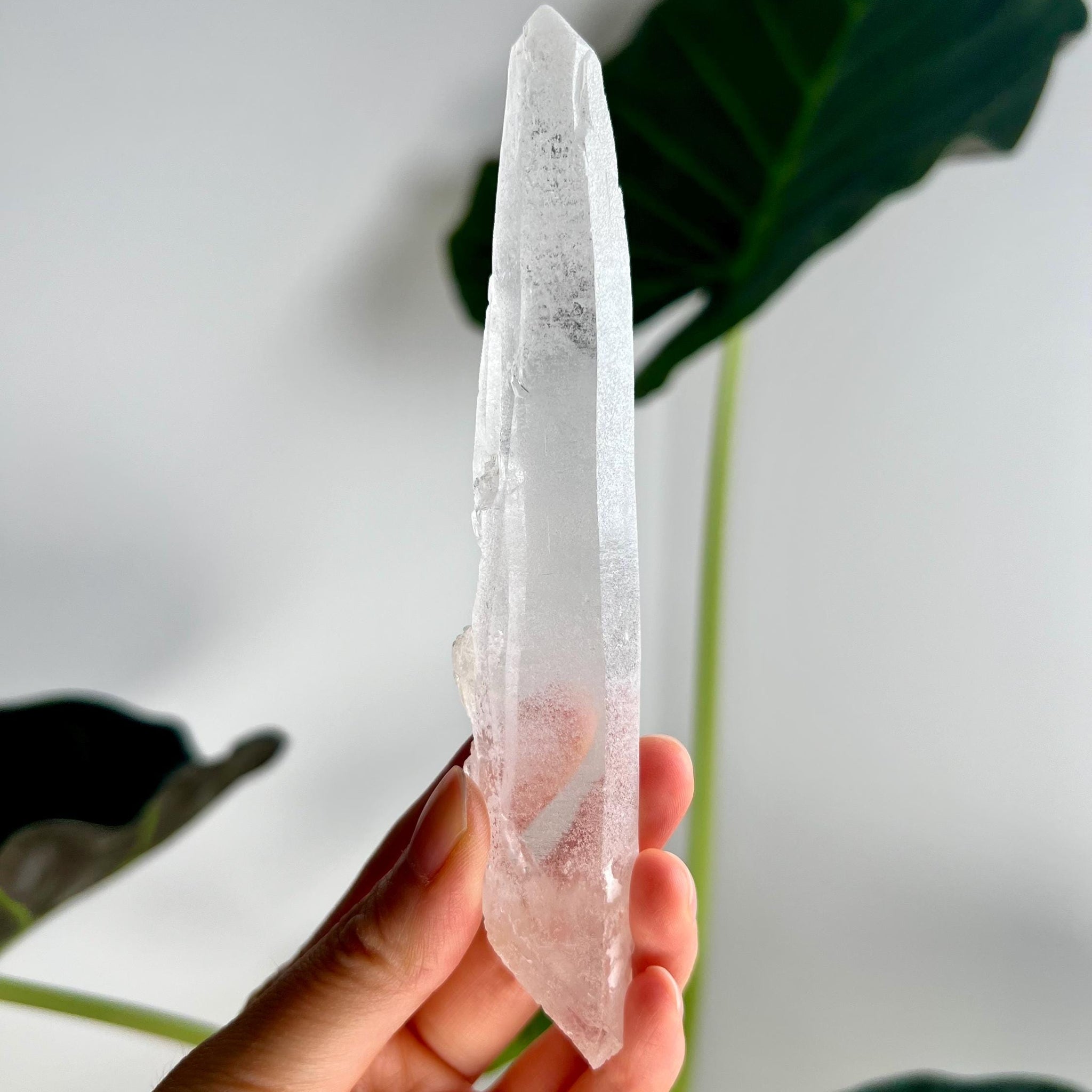 Grade AAA Singing Laser Quartz, Frosted with Rainbow Penetration from Batatal, Diamantina - High Vibration Healing Crystal,SLH34, 85g
