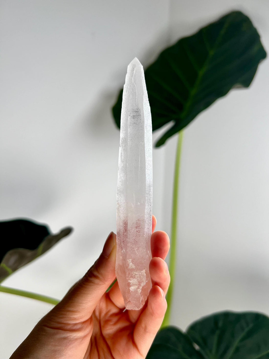 Grade AAA Singing Laser Quartz, Frosted with Rainbow Penetration from Batatal, Diamantina - High Vibration Healing Crystal,SLH34, 85g