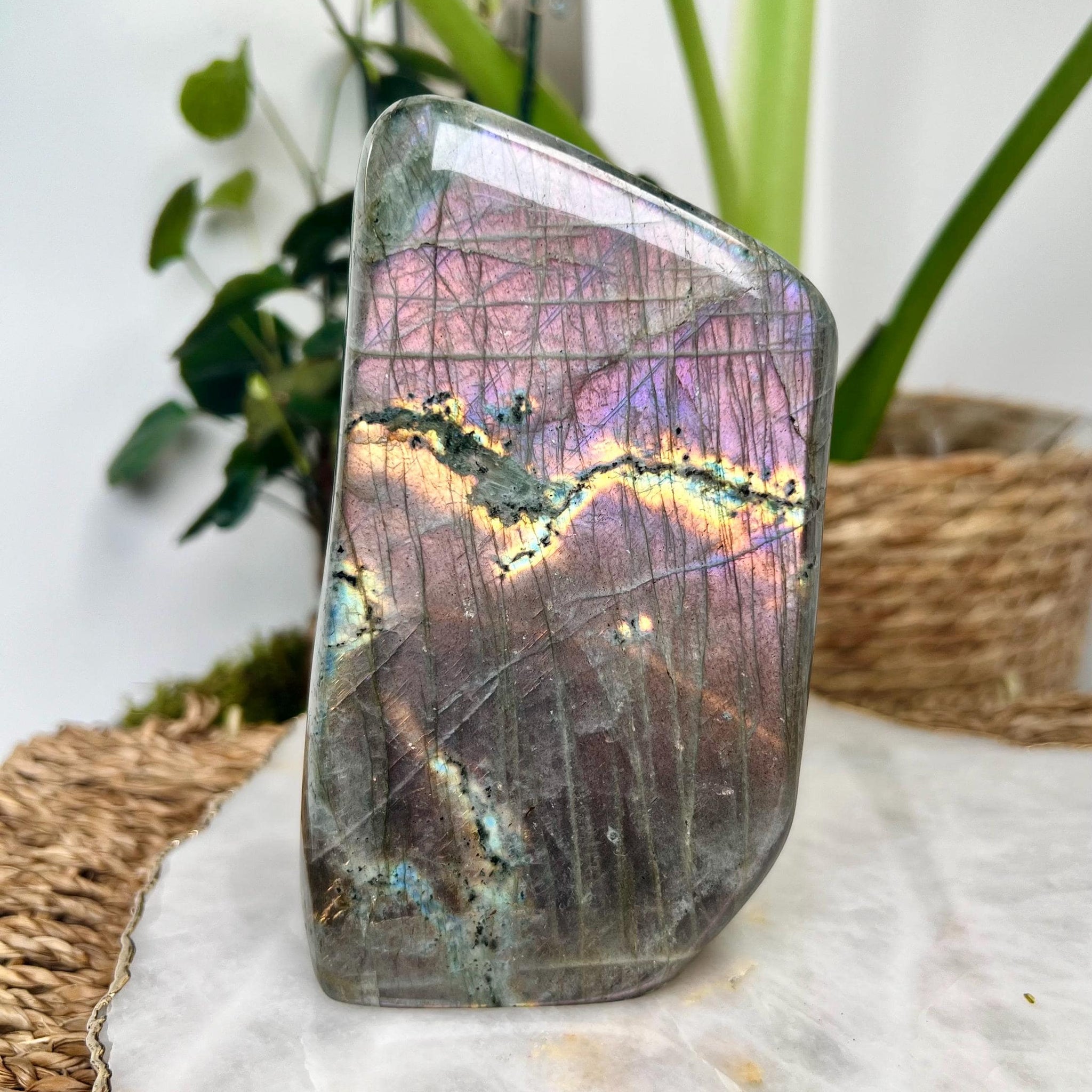 Grade AA+ Purple Labradorite Freeform from Madagascar, The Magician Stone, Powerful Energy Shield, Manifestation Crystal 894g