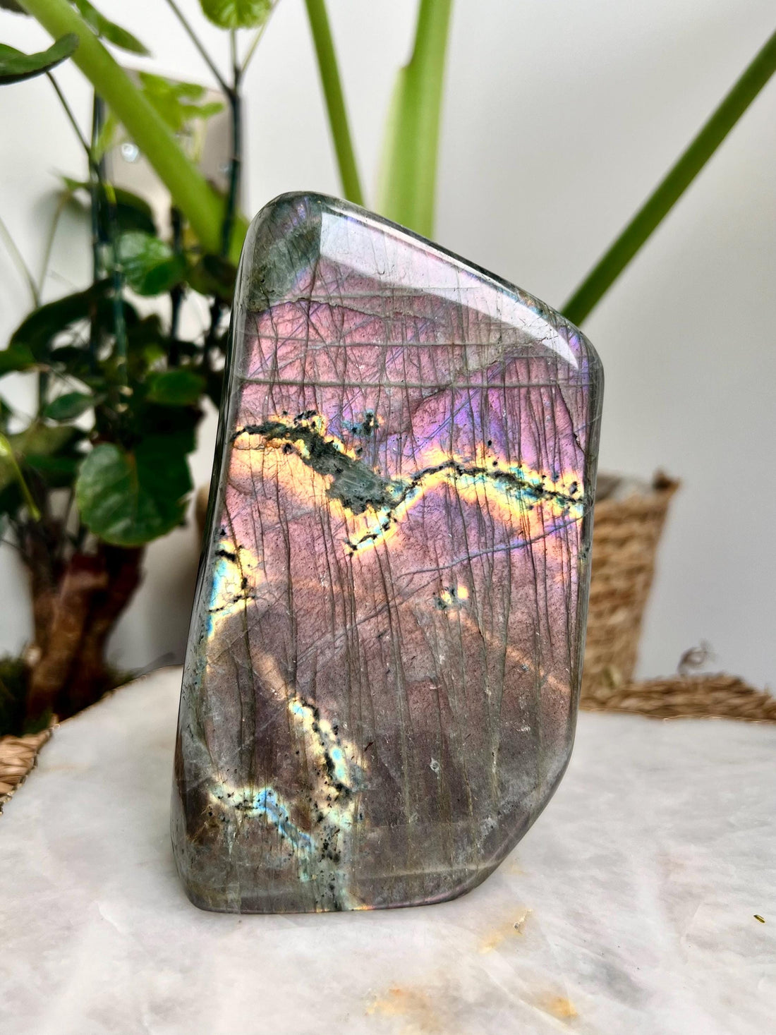 Grade AA+ Purple Labradorite Freeform from Madagascar, The Magician Stone, Powerful Energy Shield, Manifestation Crystal 894g