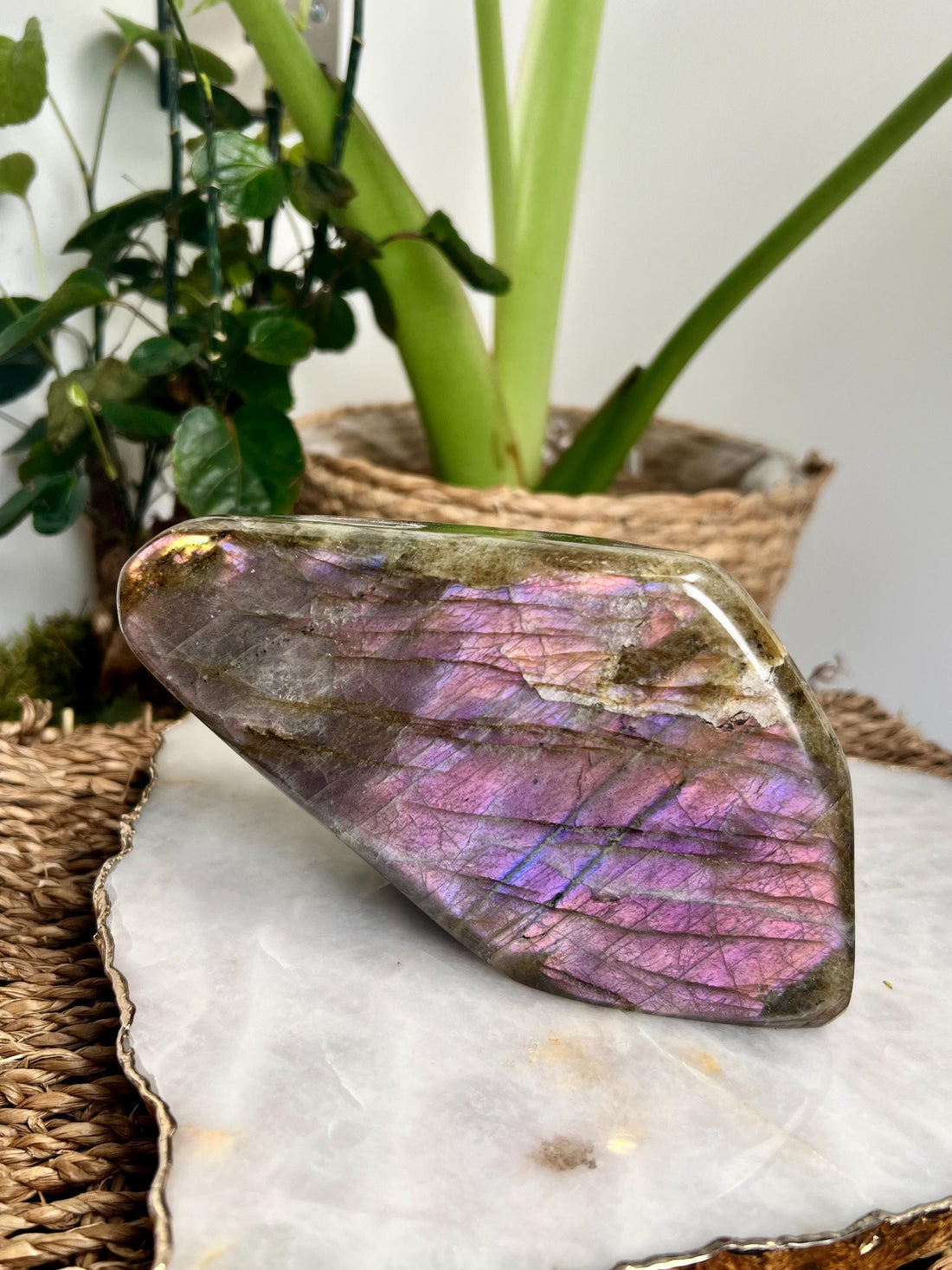 Grade AAA Purple Labradorite Freeform from Madagascar, The Magician Stone, Powerful Energy Shield, Manifestation Crystal 929g