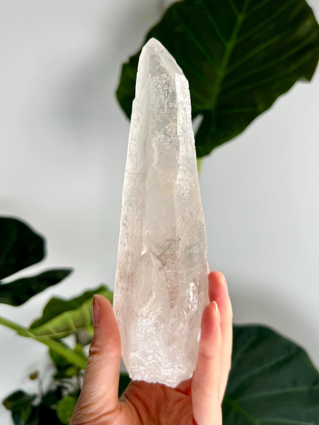 RARE Grade AAA Singing Laser Manifestation Quartz with Rainbow DT Penetration - Natural Specimen from Batatal, Diamantina, SLH42, 470g