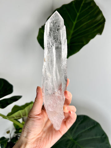 Grade AAA Singing Laser Quartz, Self-Healed with Hematite from Batatal, Diamantina - High Vibration Healing Crystal, SLH43, 346g