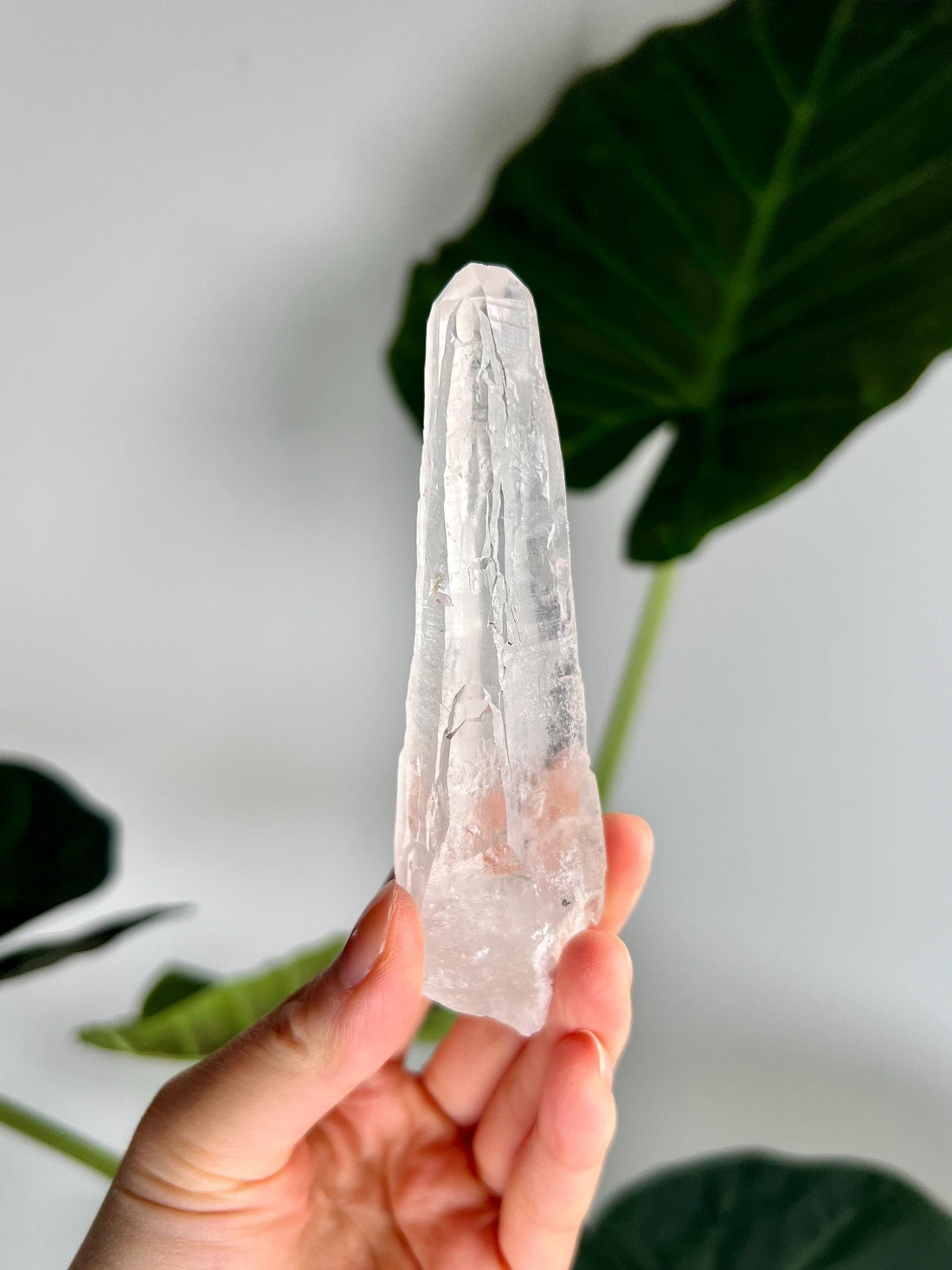 Grade AAA Singing Laser Quartz from Batatal, Diamantina -Self-Healed with Hematite Inclusion, High Vibration Healing Crystal,  SLH47, 104g