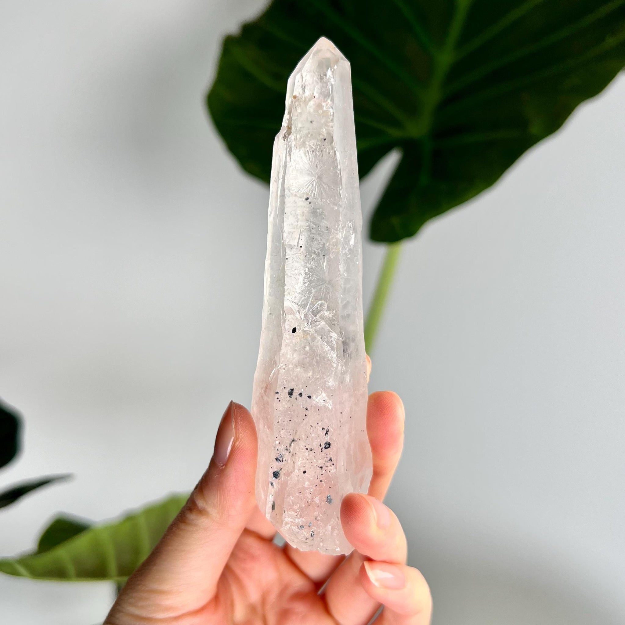 Grade AAA Singing Laser Quartz from Batatal, Diamantina -Self-Healed with Hematite Inclusion, with "Daisy Birthmark" SLH48, 111g