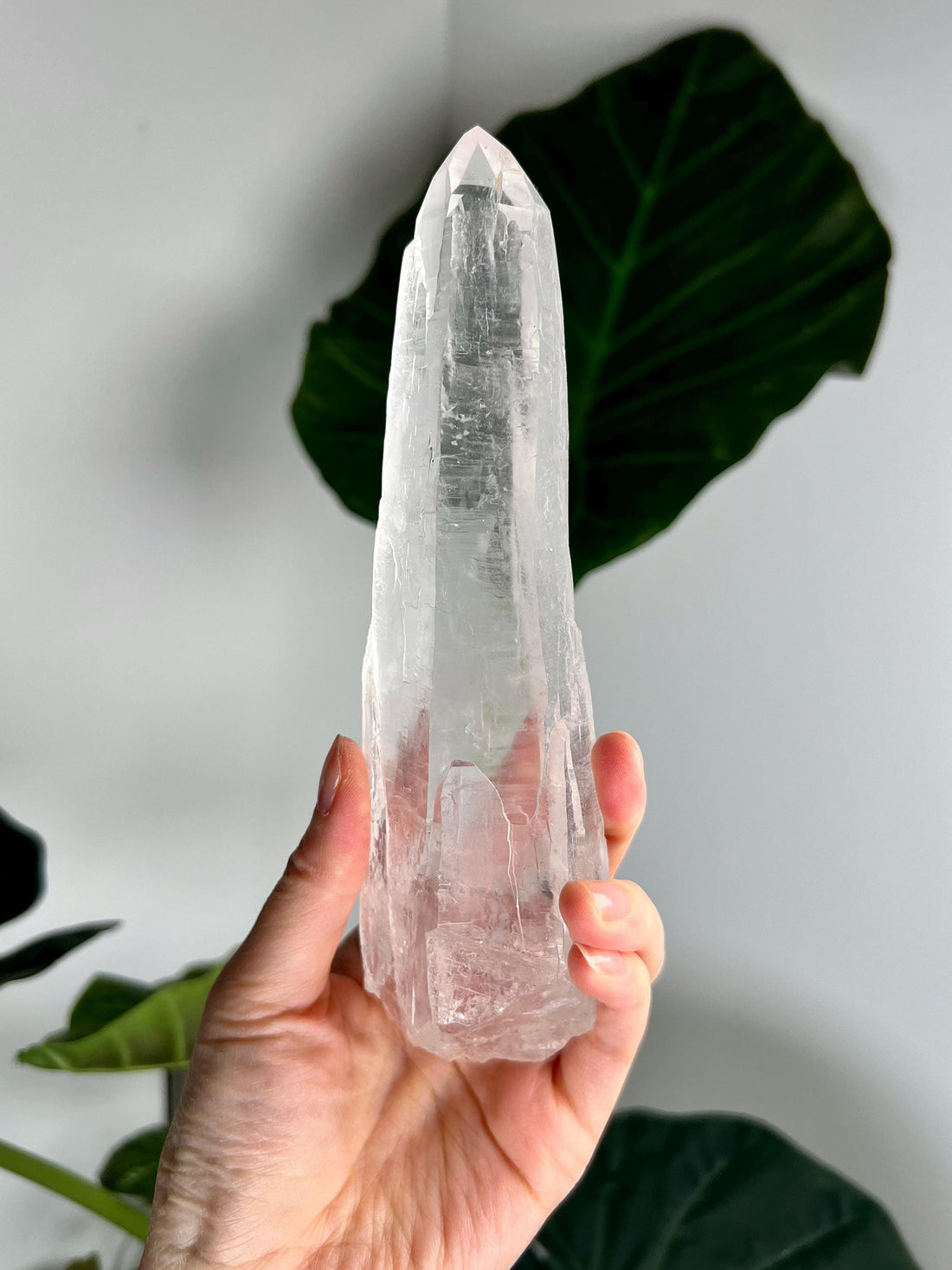 Grade AAA Singing Laser Quartz from Batatal, Diamantina - with Hematite Inclusion,SLH52, 408g