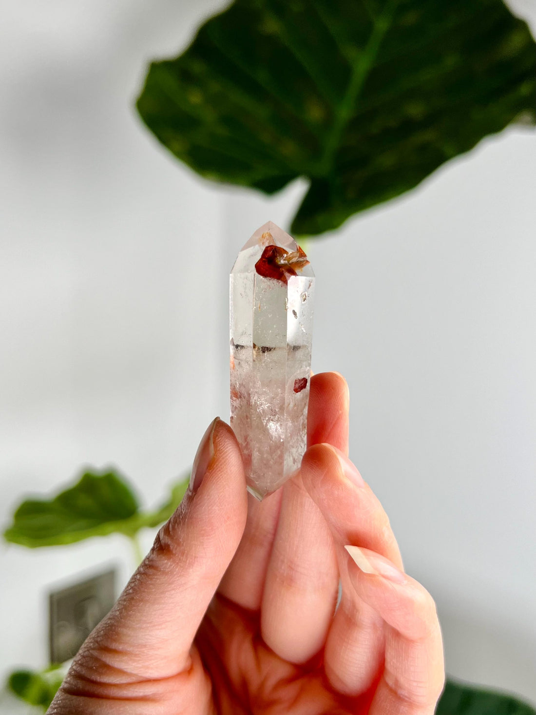 Grade AA Natural Quartz DT with Hematite, Iron Inclusion - Double-Terminated Quartz from Diamantina, HQC12, 24g