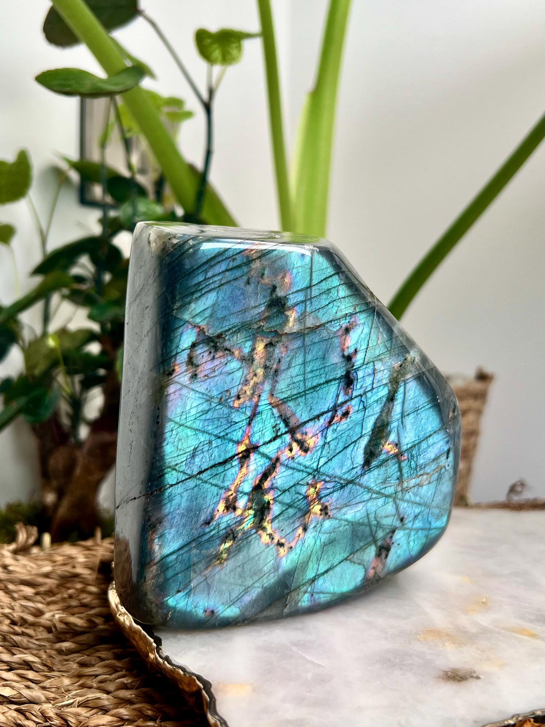 Rare Dual-Colour Grade AAA Purple and Teal Blue Labradorite Freeform from Madagascar, The Magician Stone, 1.003kg