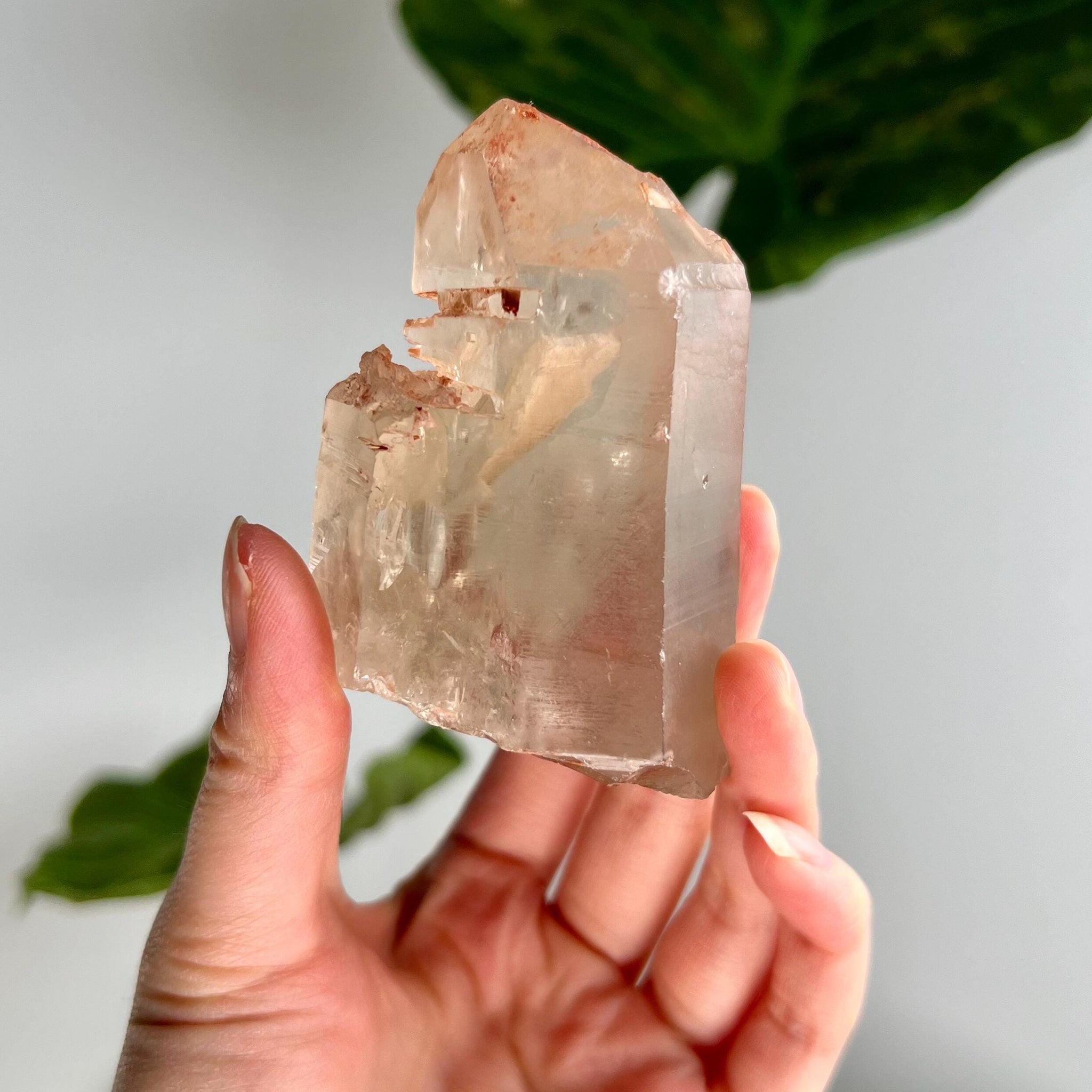 Grade A Golden Healer Shift Lemurian Quartz, Shift Quartz, Golden Healer Lemurian with Rainbow from Serra do Cabral, Brazil, GSL01, 212g
