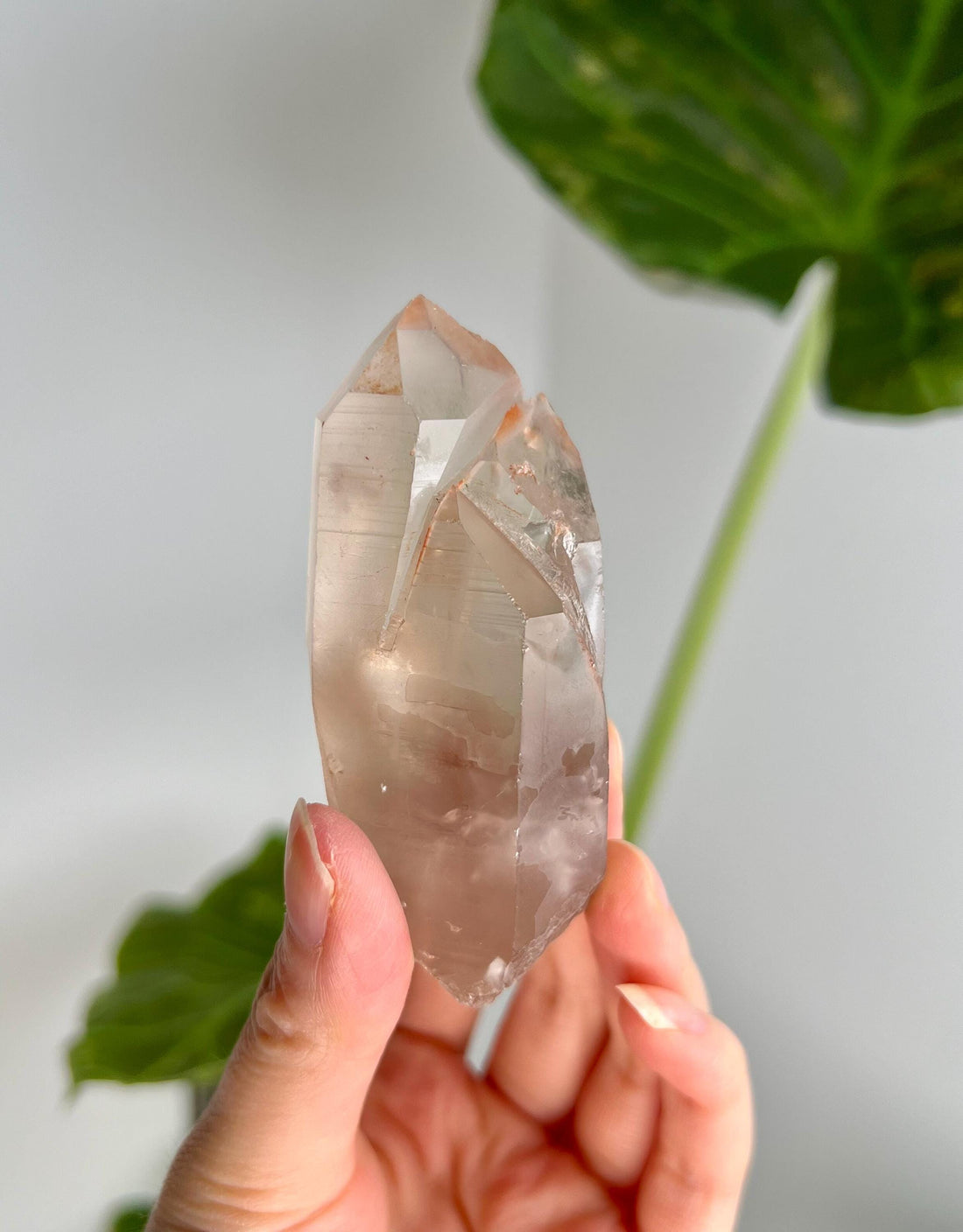 Grade A Golden Healer Lemurian Shift Quartz with Penetration, Manifestation Quartz from Serra do Cabral, Brazil, GSL02, 119g