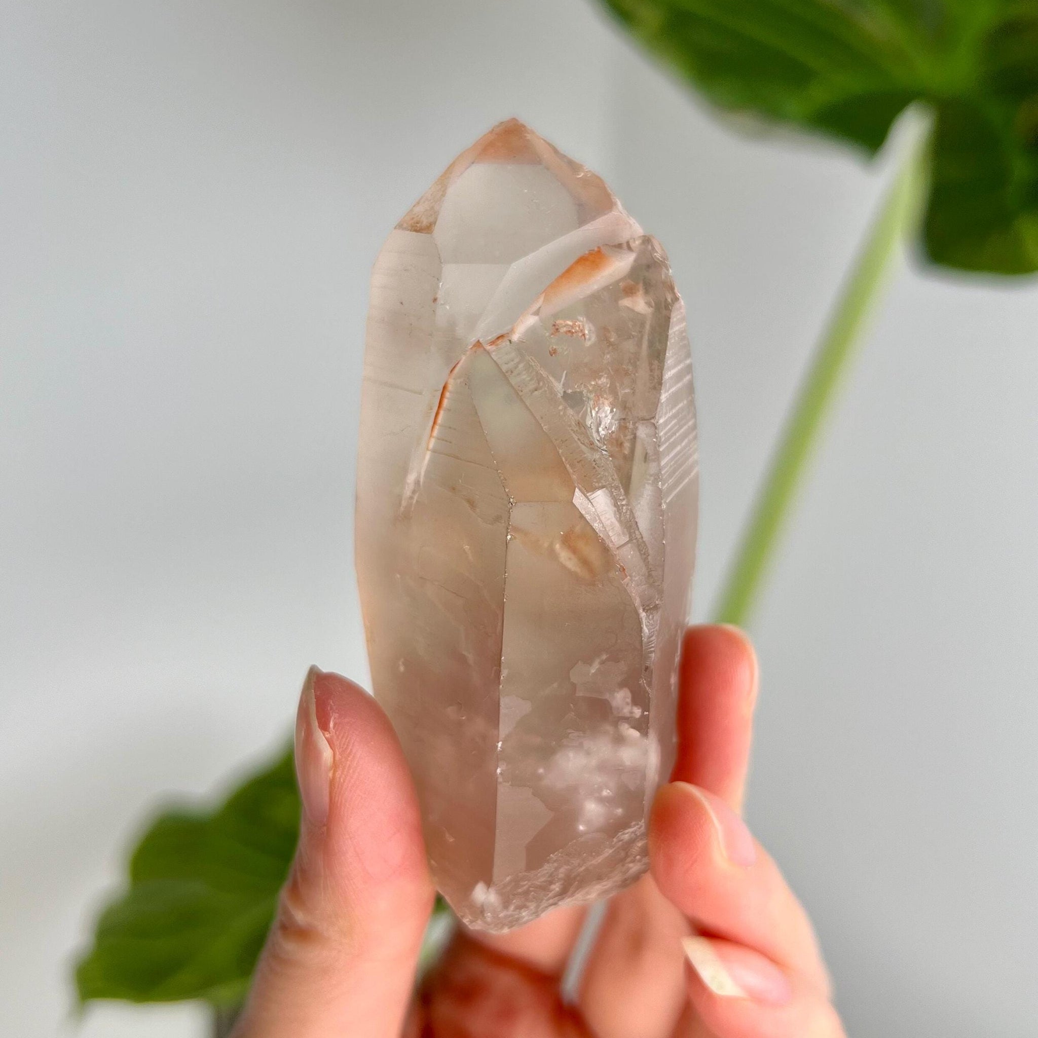 Grade A Golden Healer Lemurian Shift Quartz with Penetration, Manifestation Quartz from Serra do Cabral, Brazil, GSL02, 119g